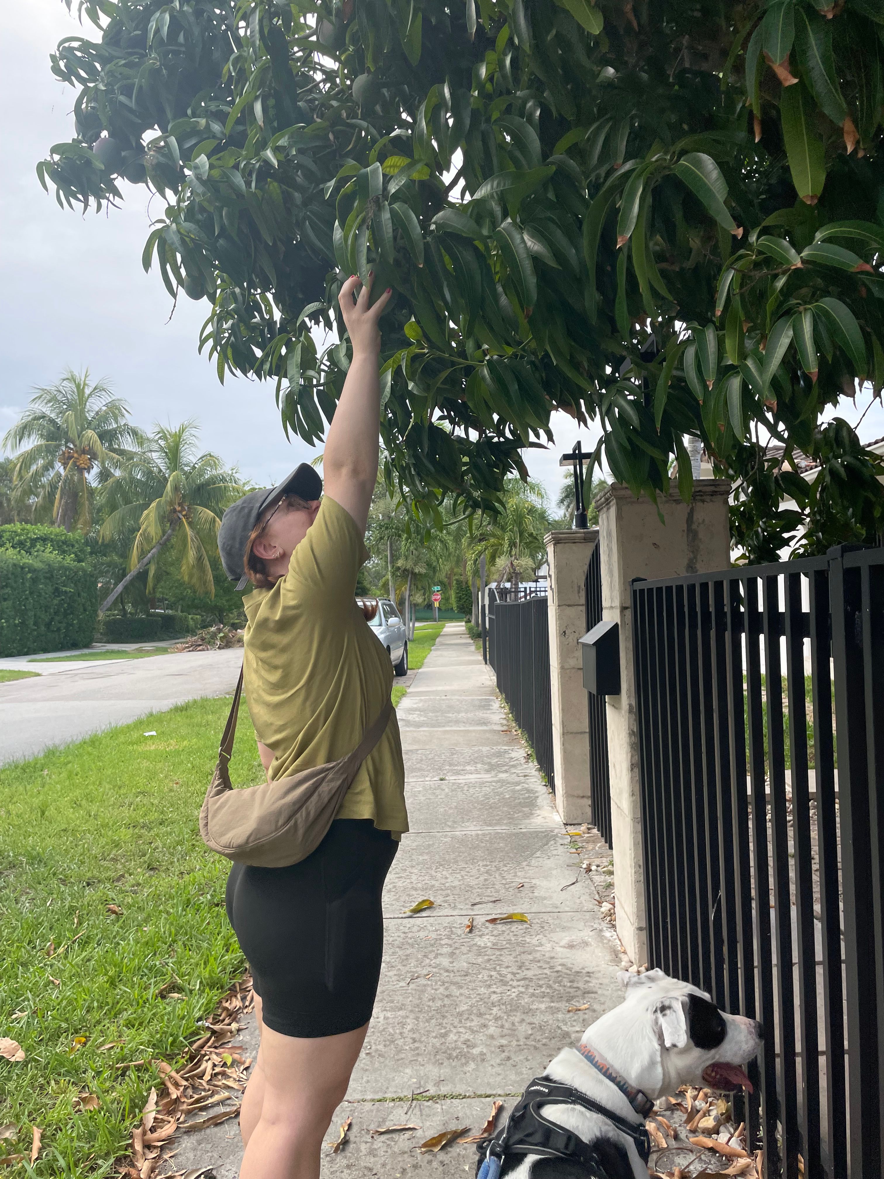 image-6