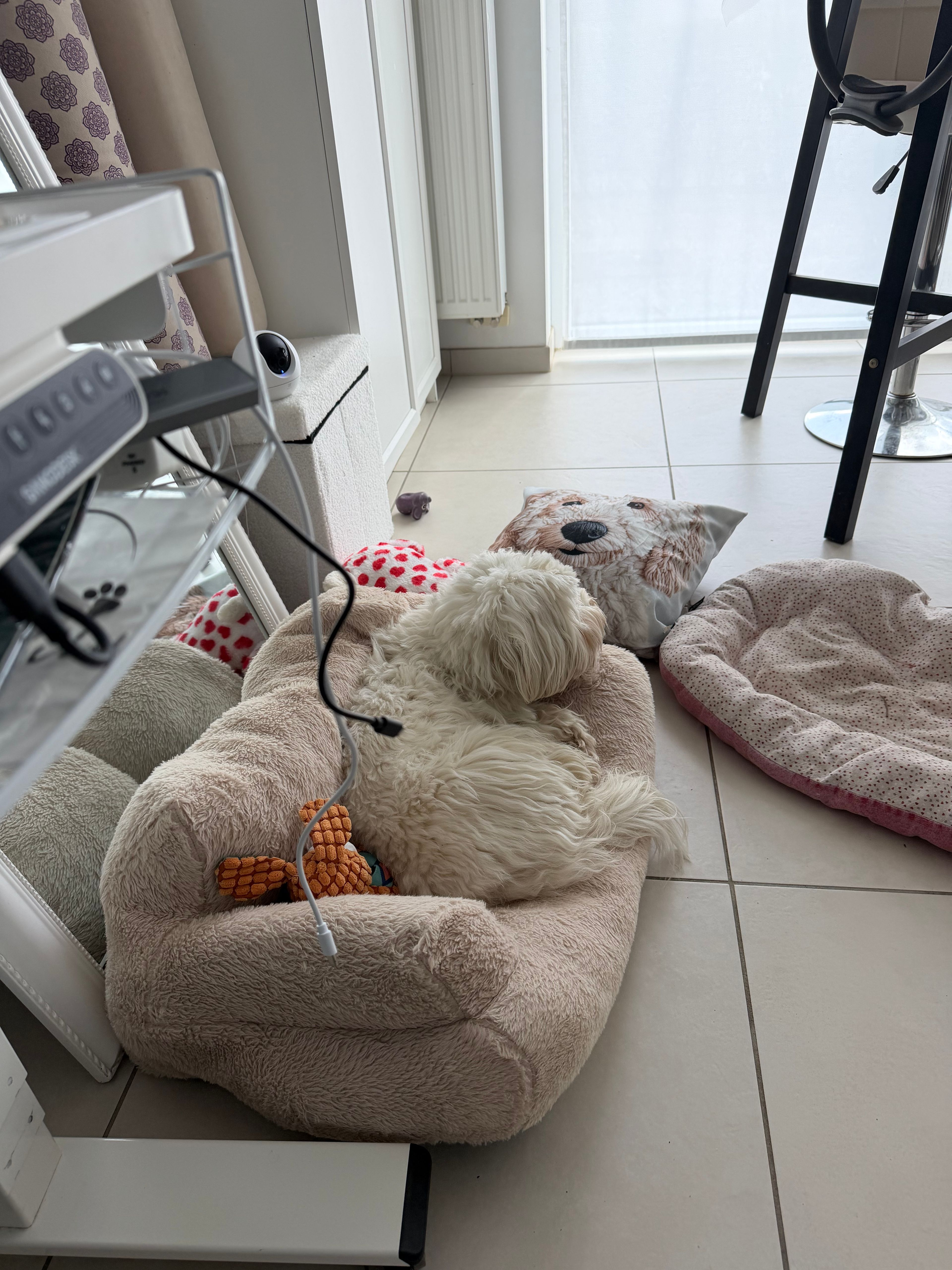 image-19