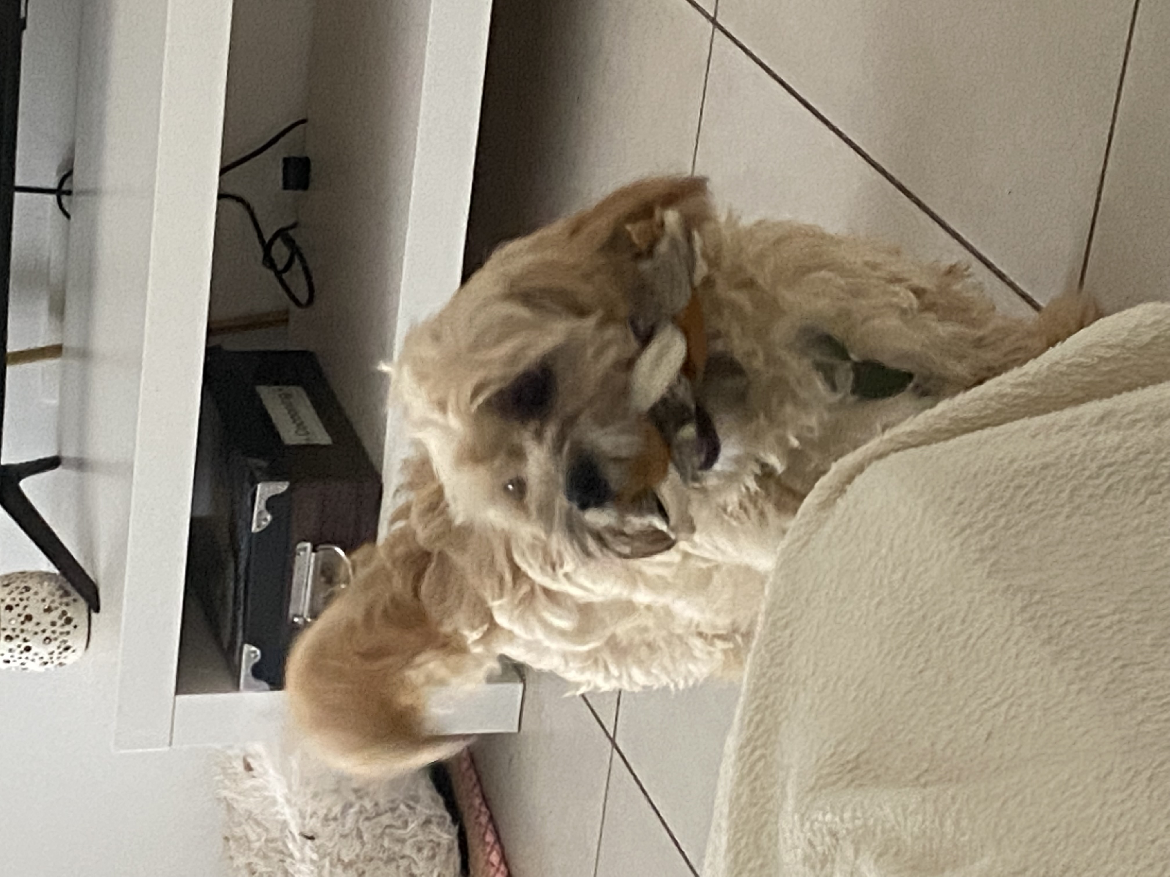 image-10