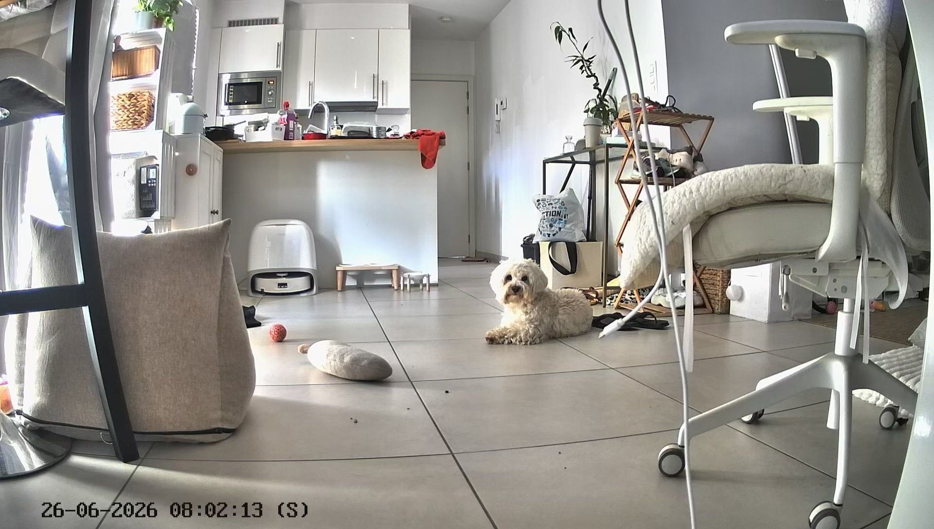image-11