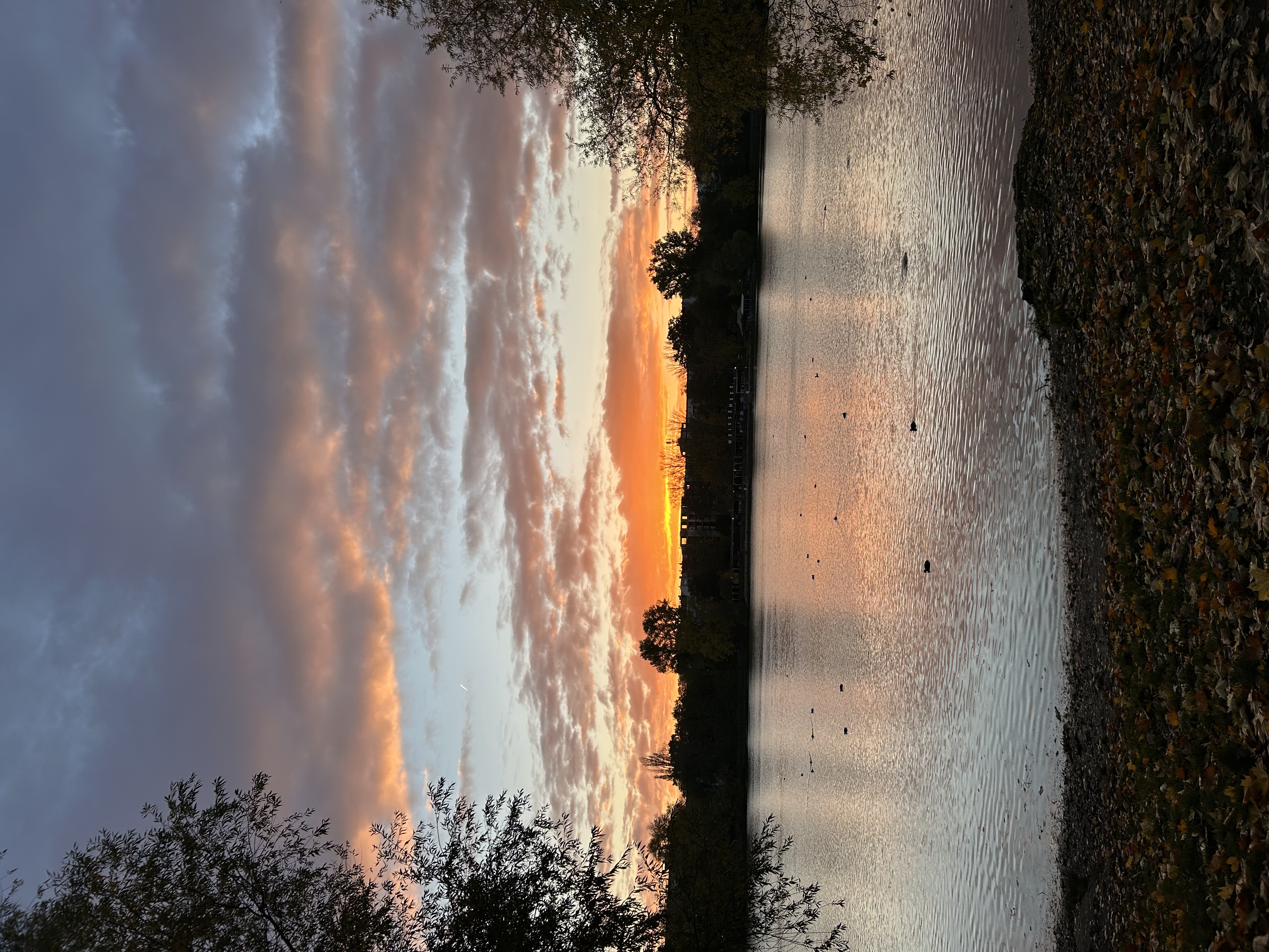 image-14