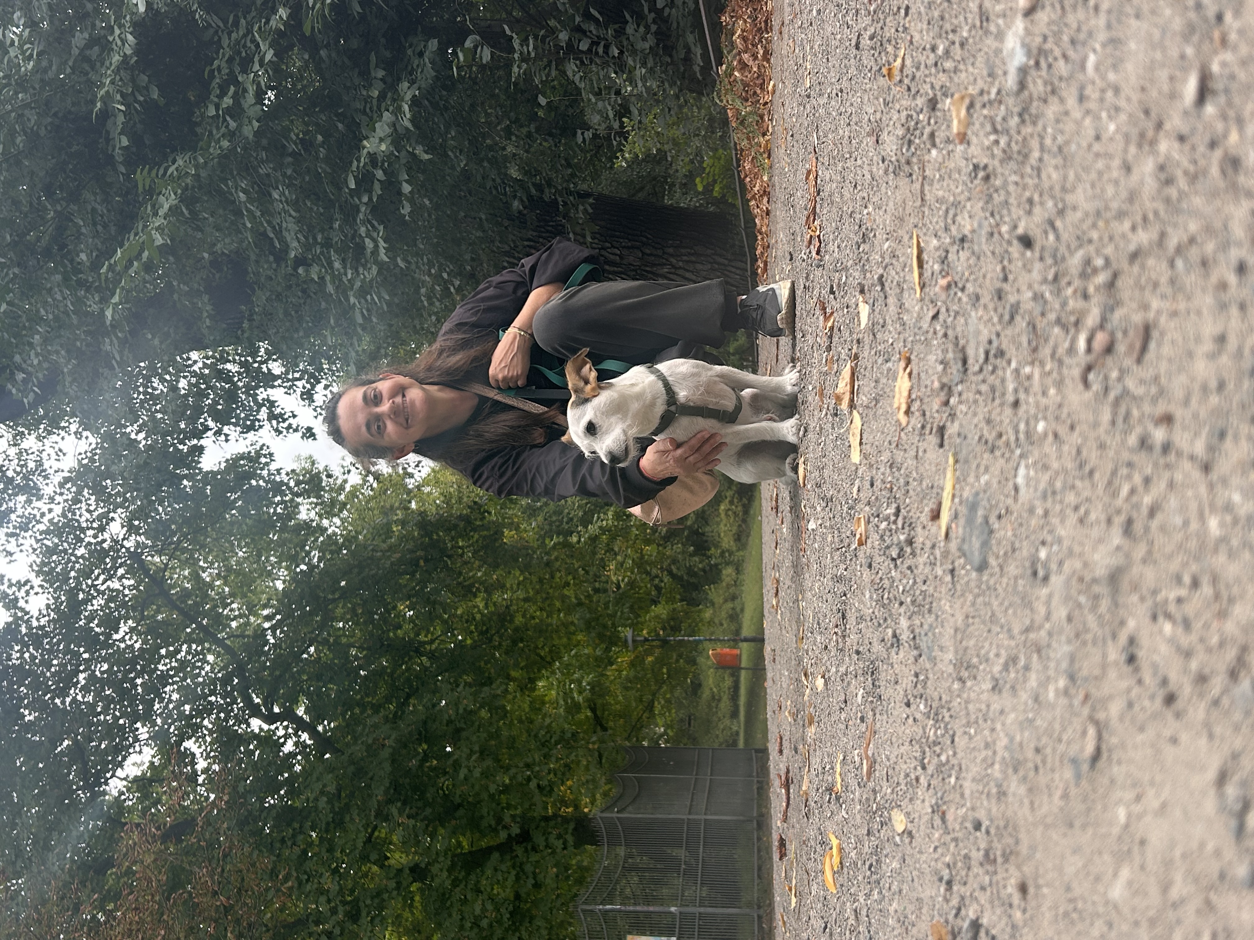 image-2