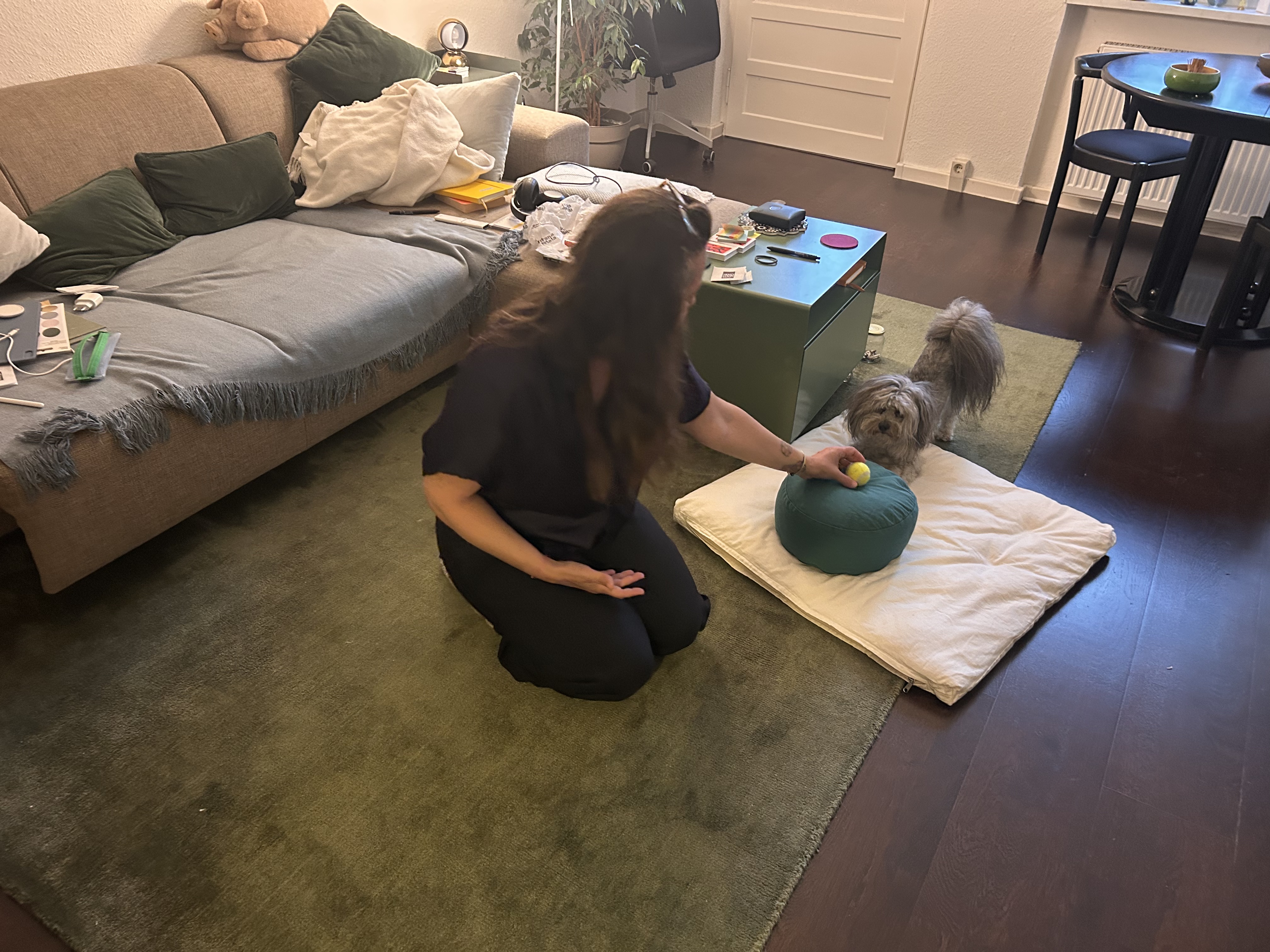image-11