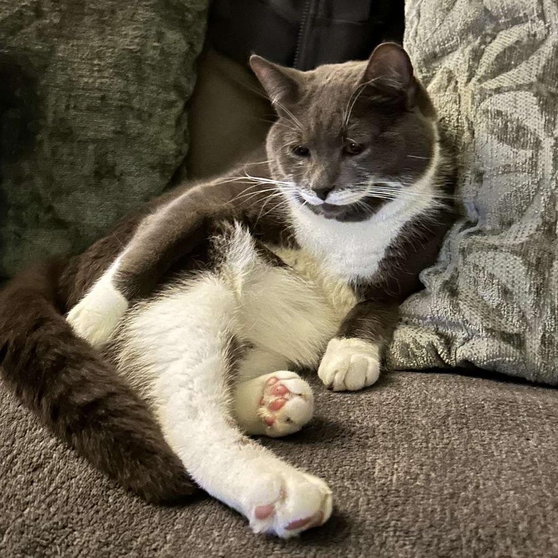 Billy