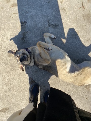 image-9