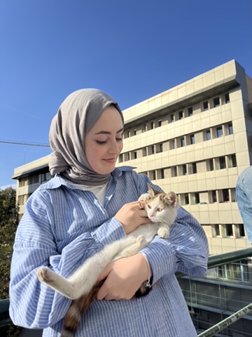 image-6