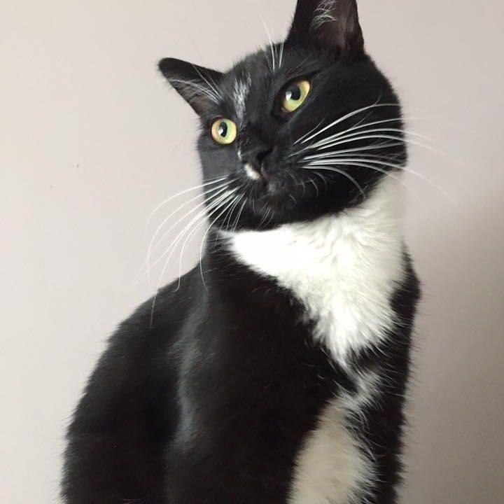 Maurice