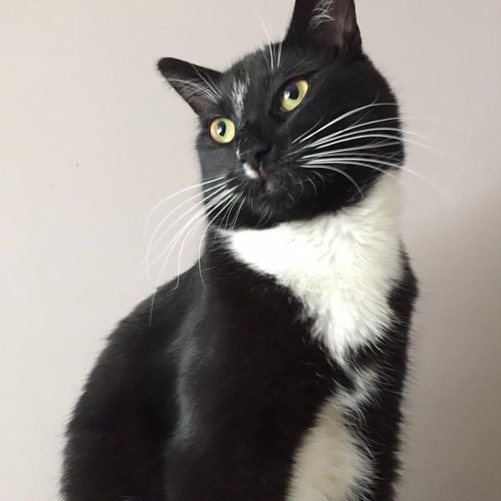 Maurice