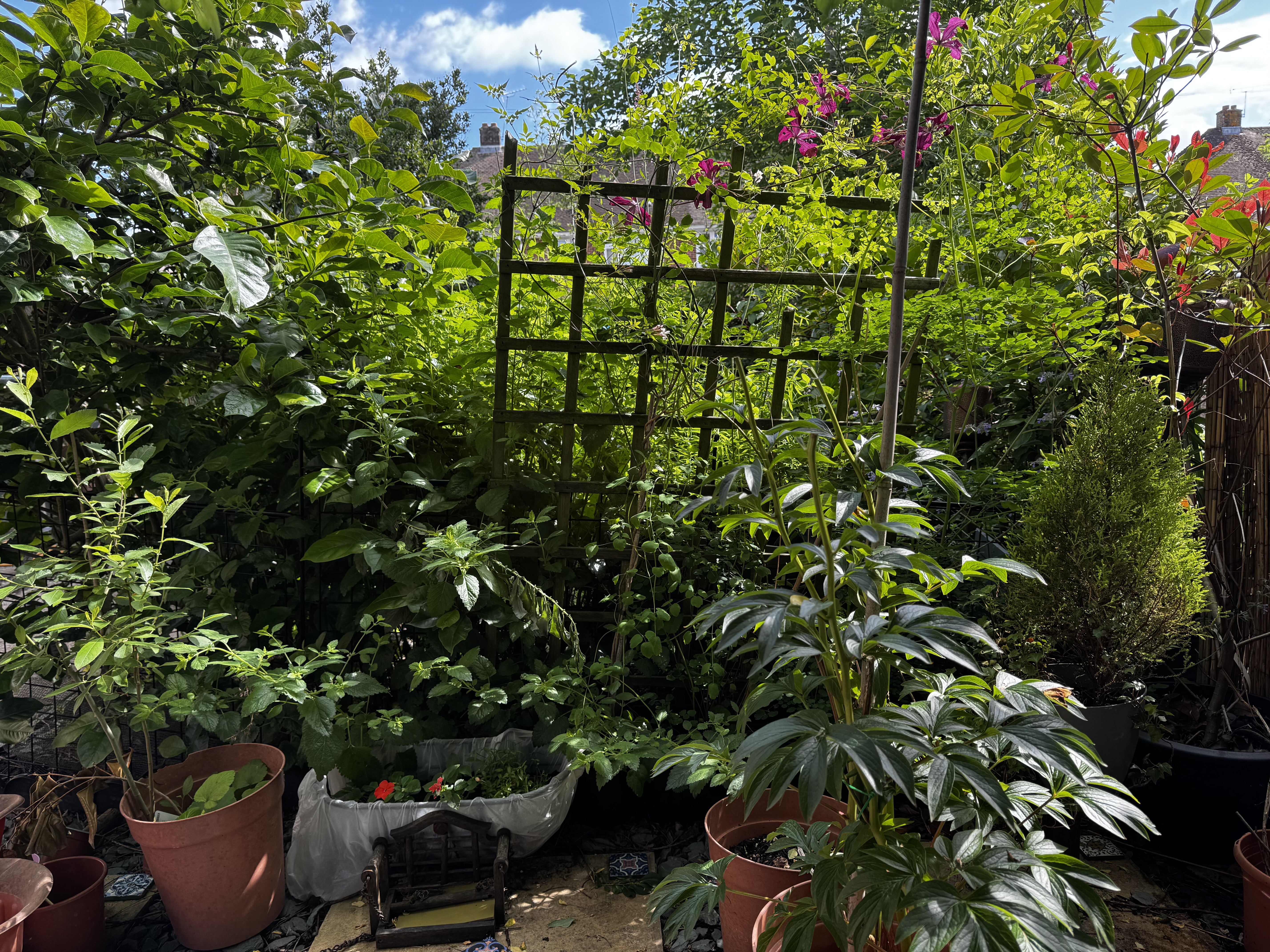 image-10
