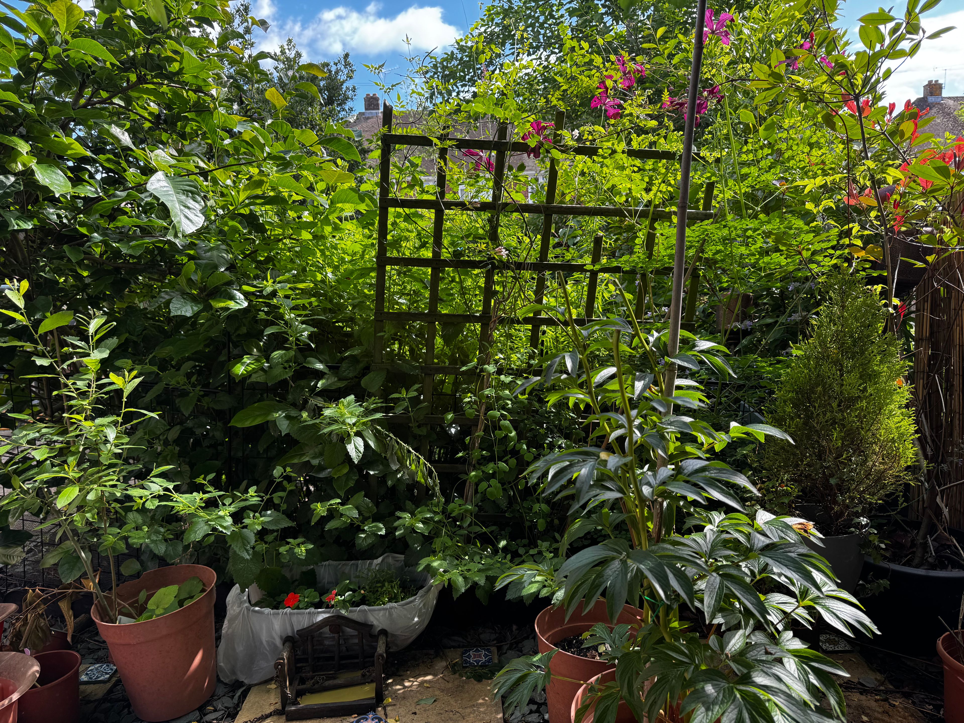 image-10