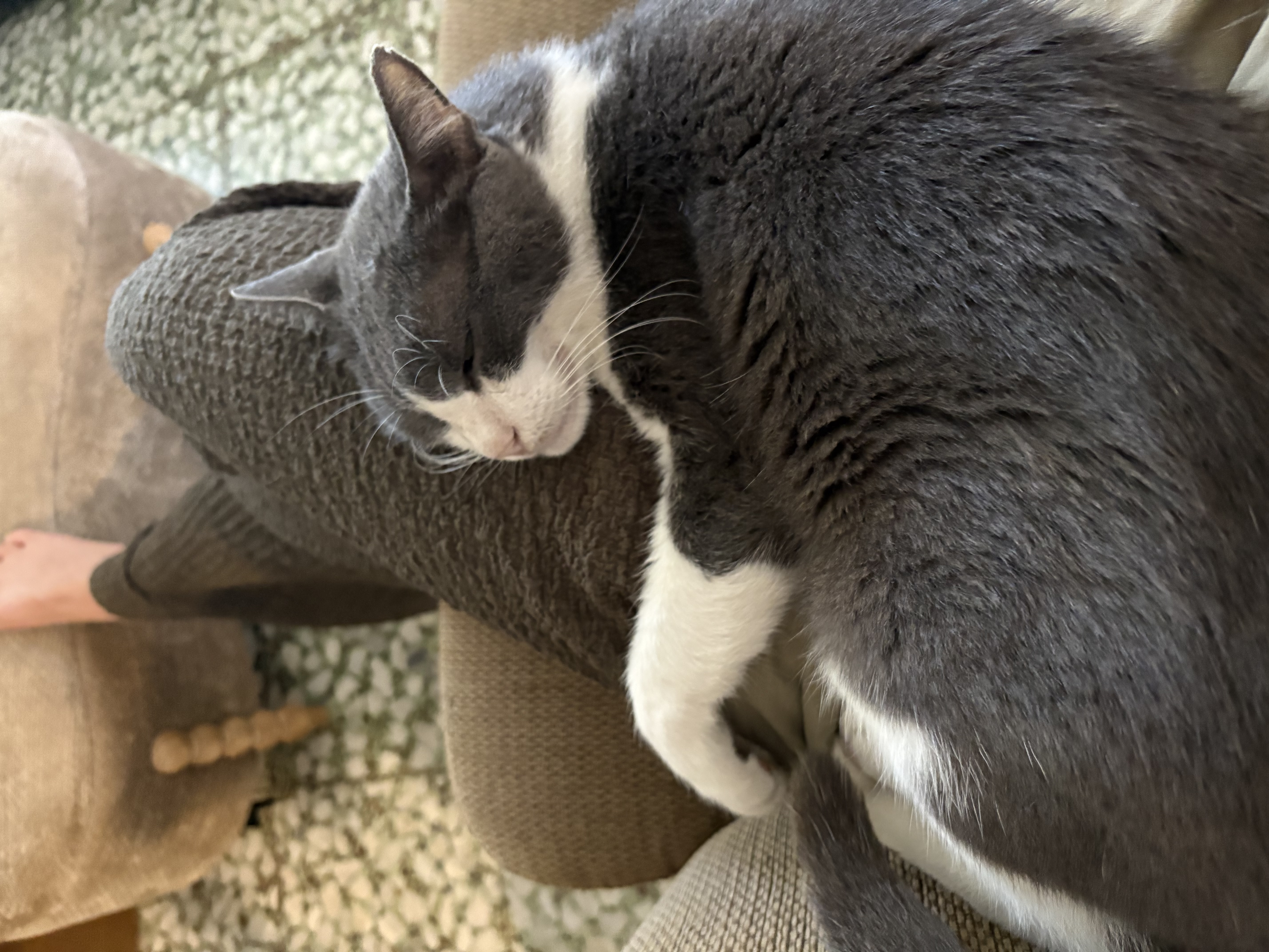 image-6