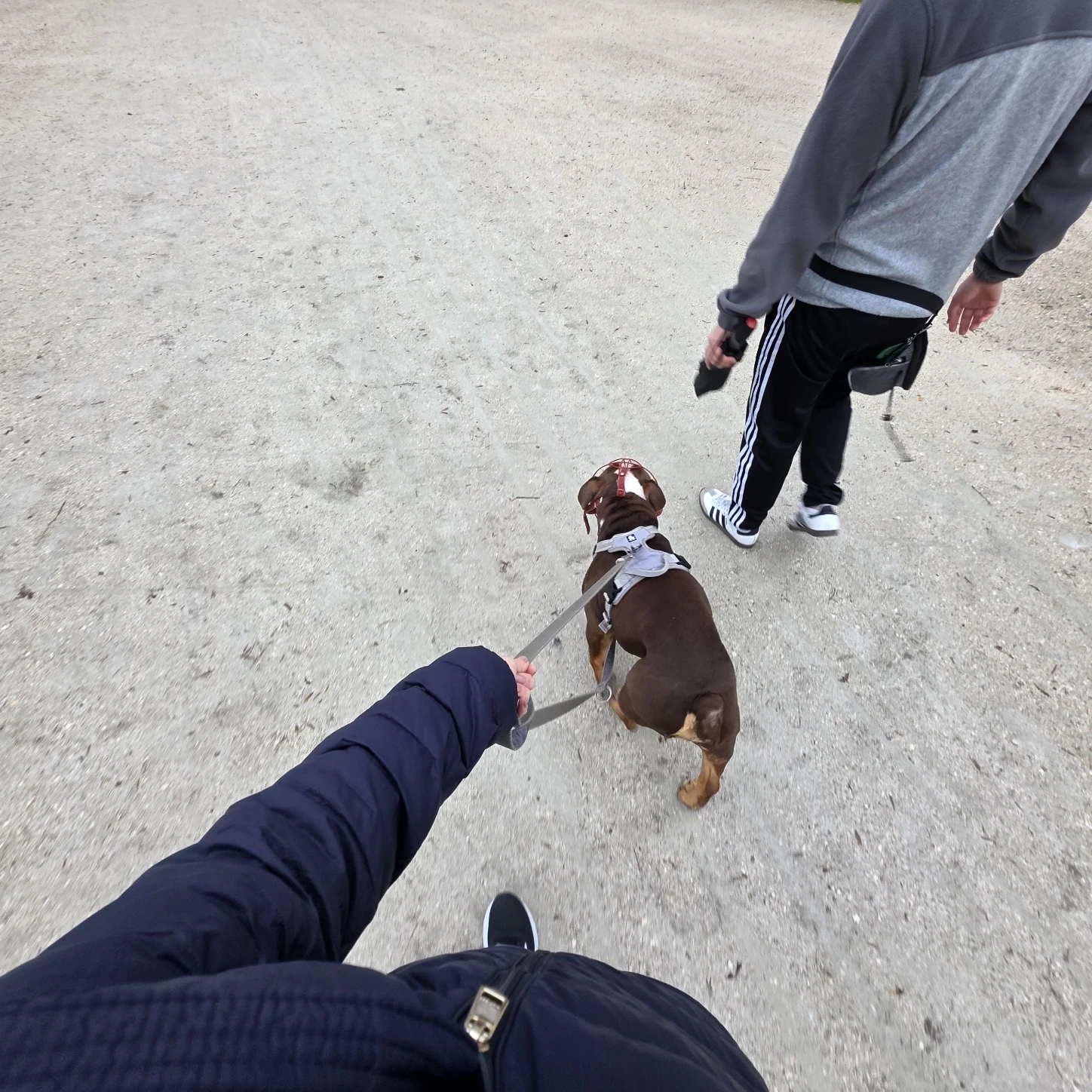 image-15