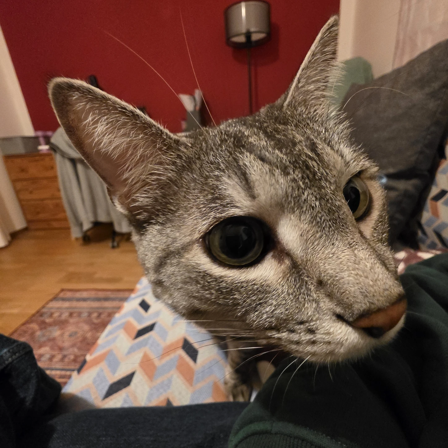 image-12
