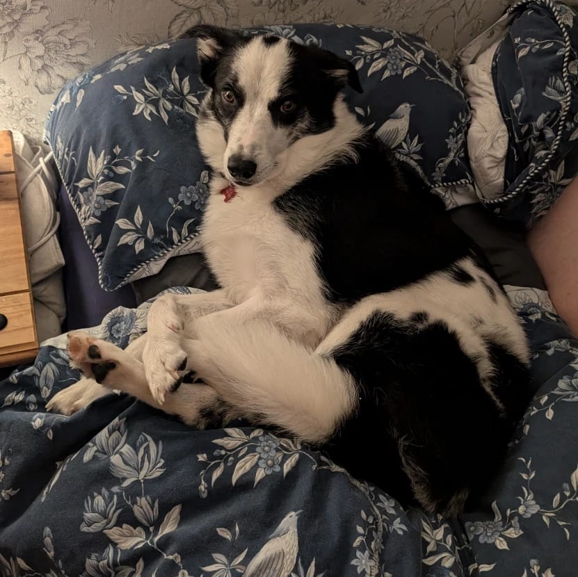 Cai