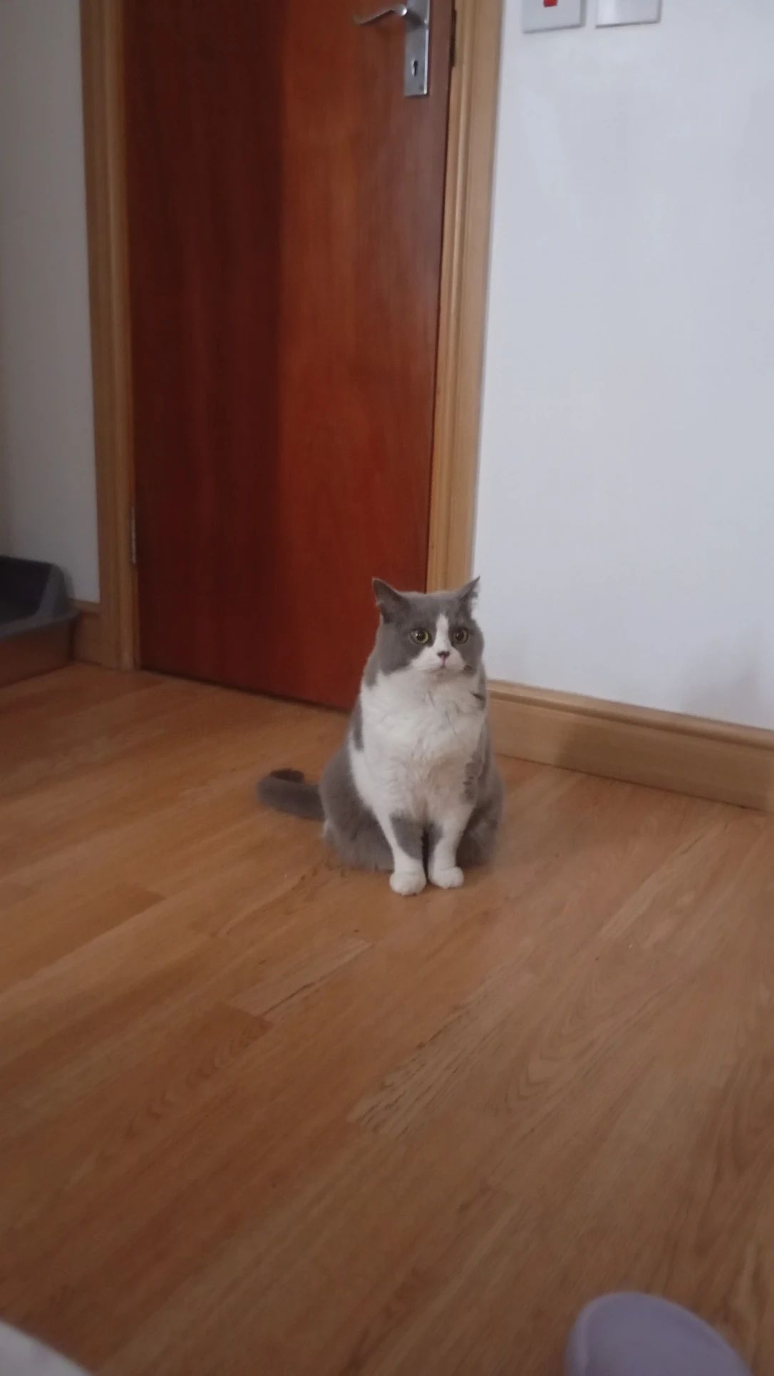 image-11