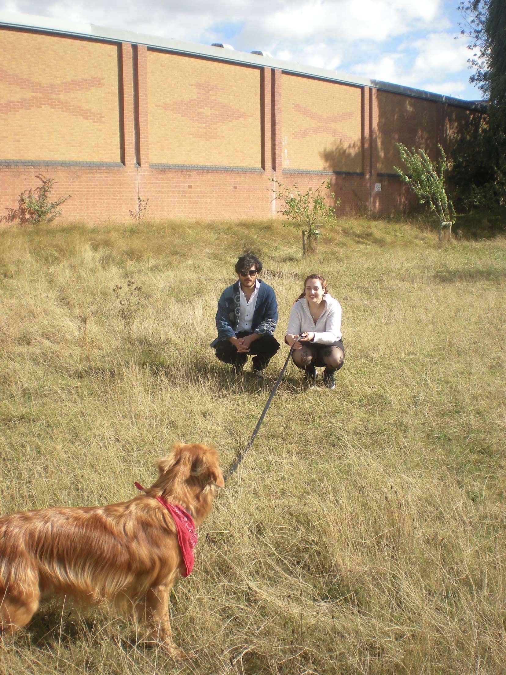 image-7