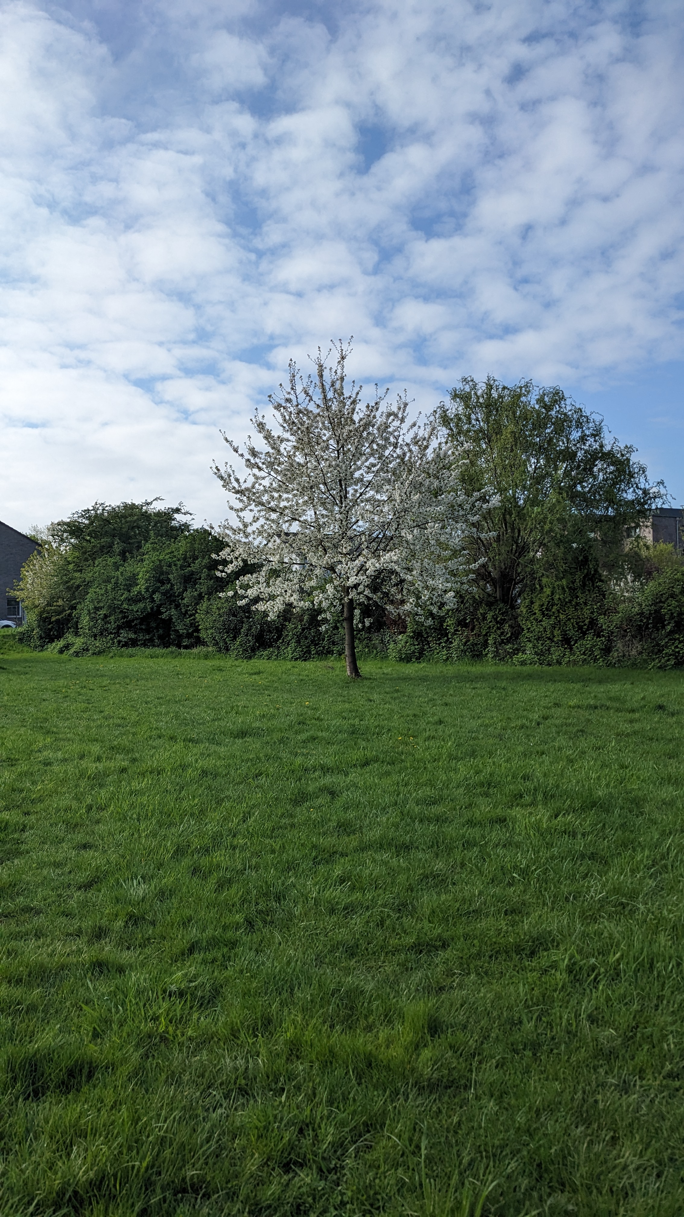 image-18