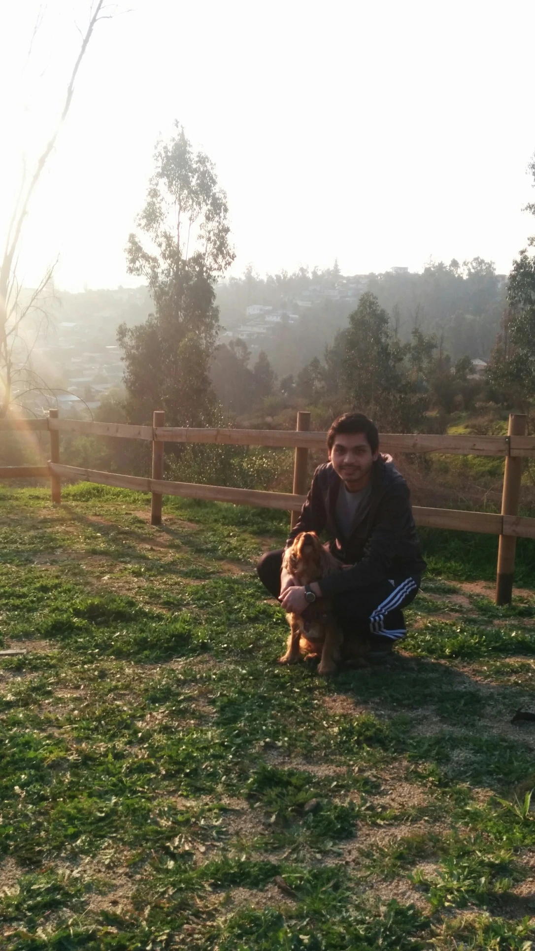 image-7