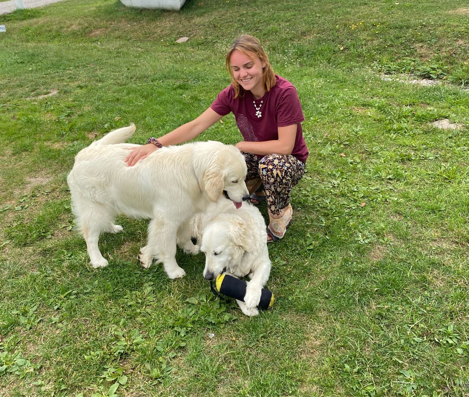 image-5