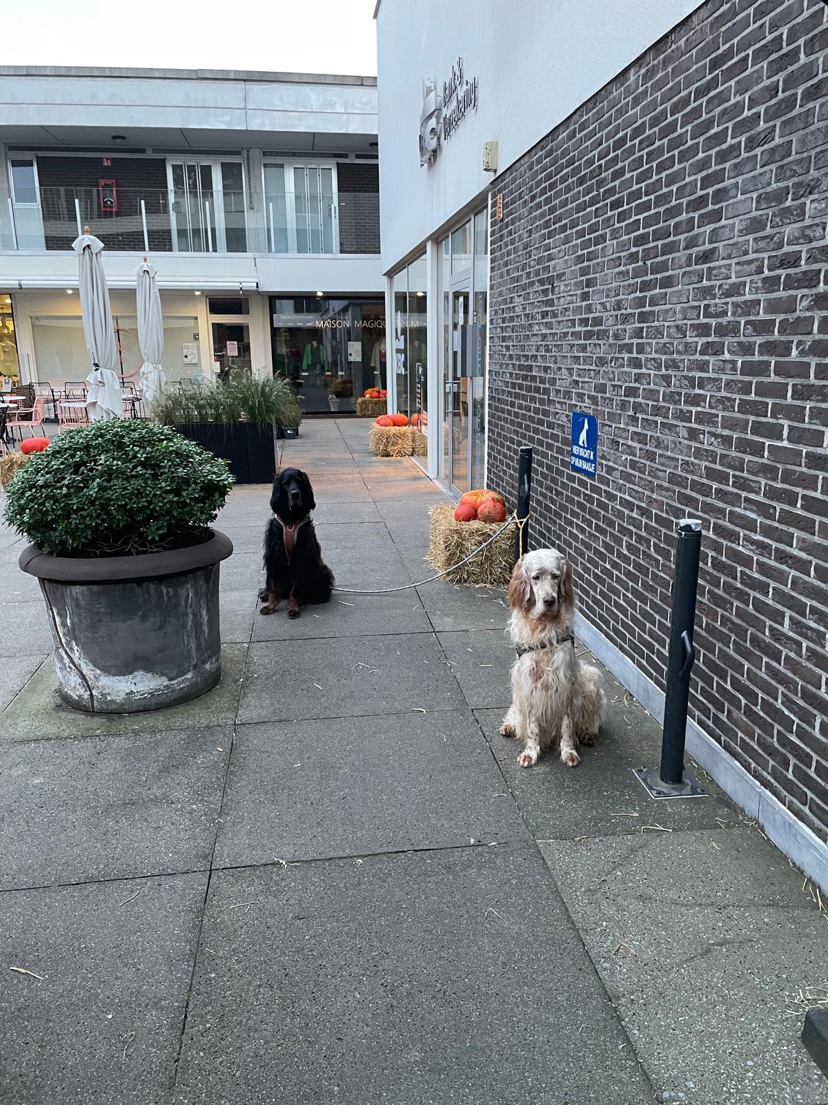 image-14