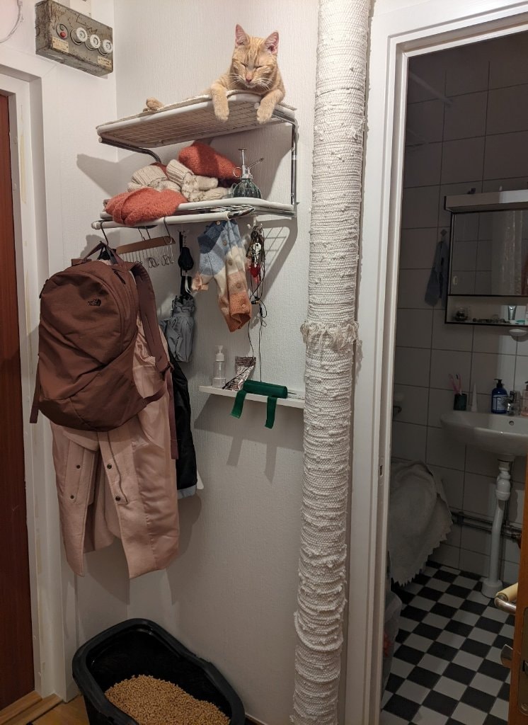 image-7