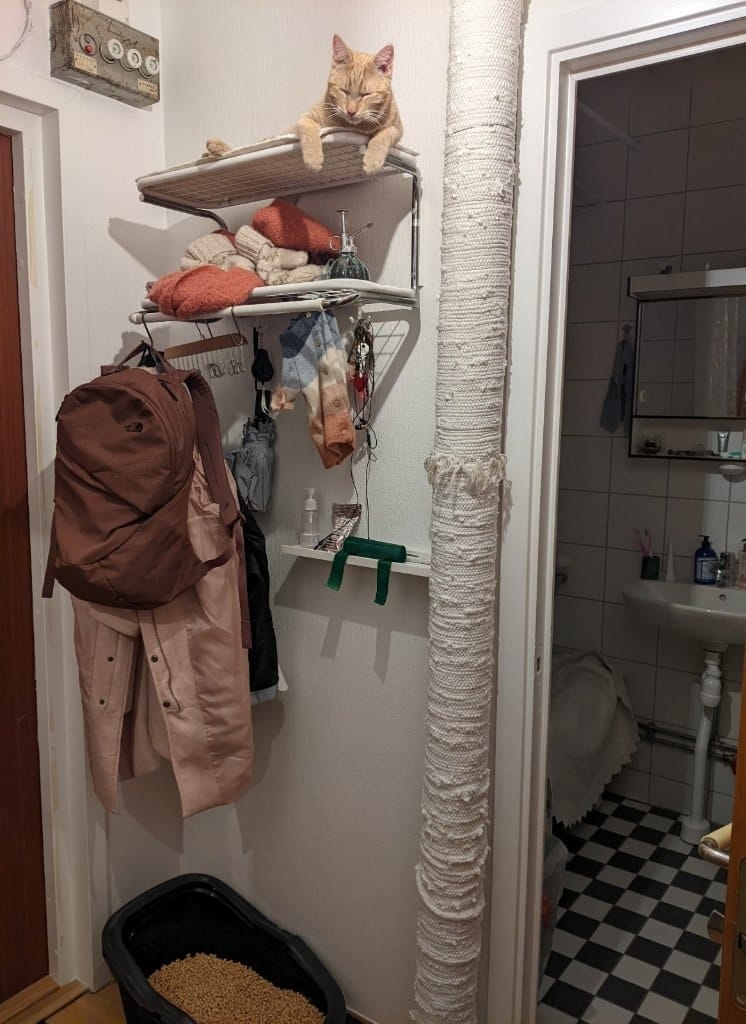 image-7