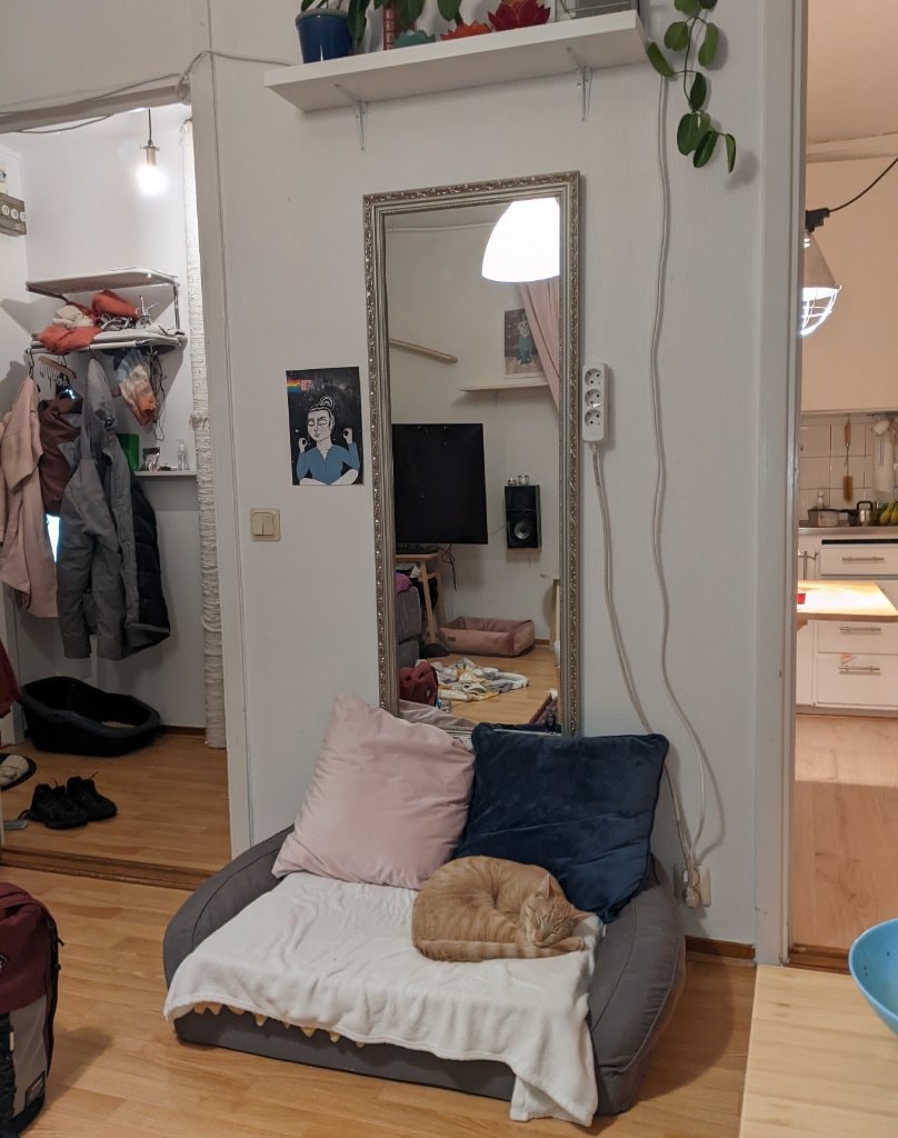 image-9