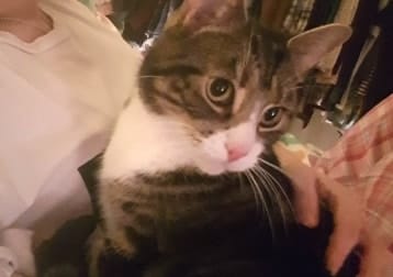 Sebastian