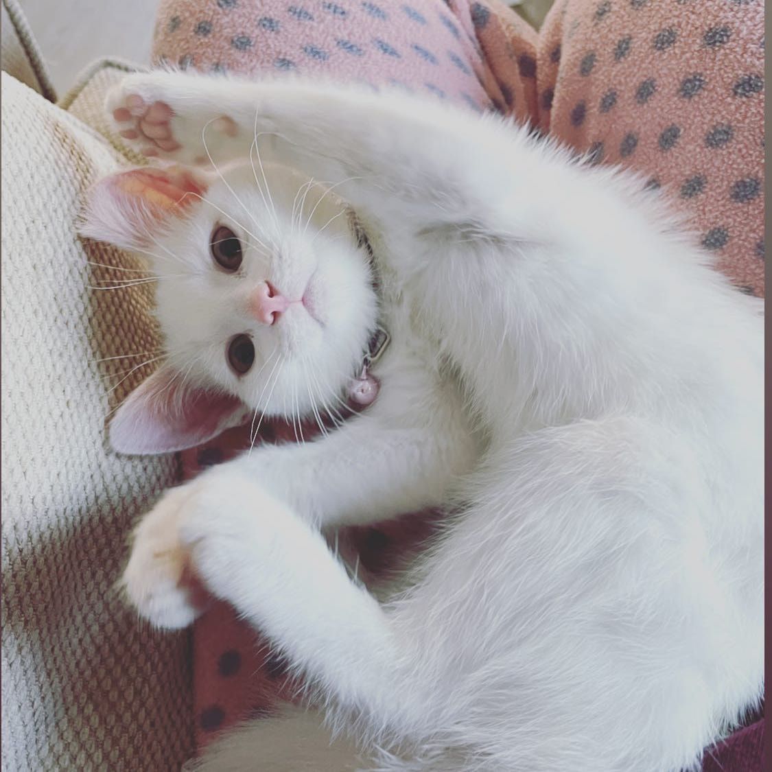 Ruby