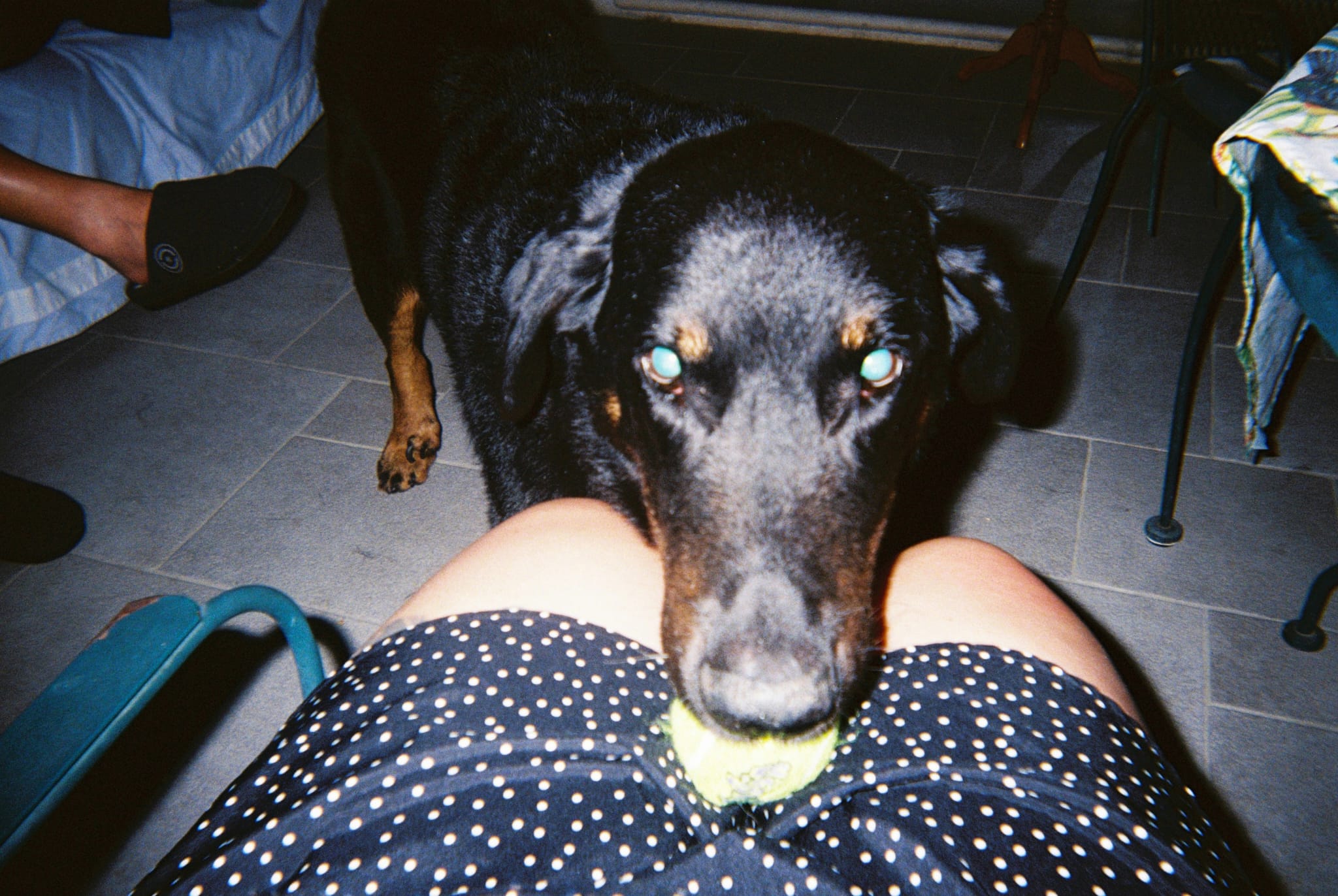 image-9
