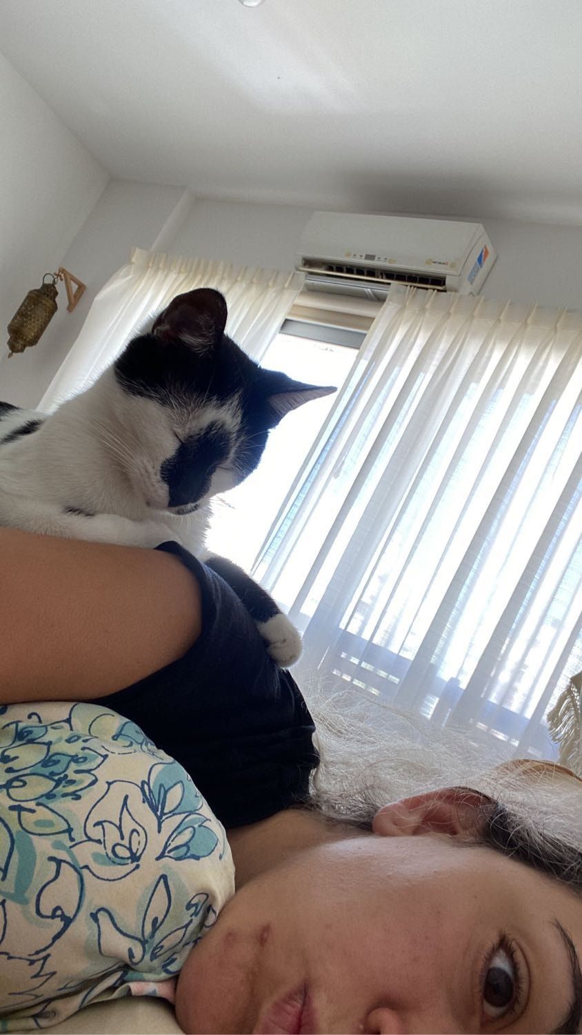 image-8
