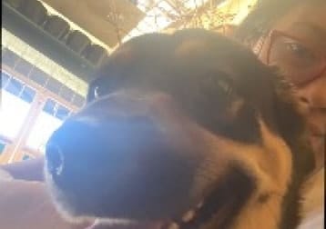 Hugo
