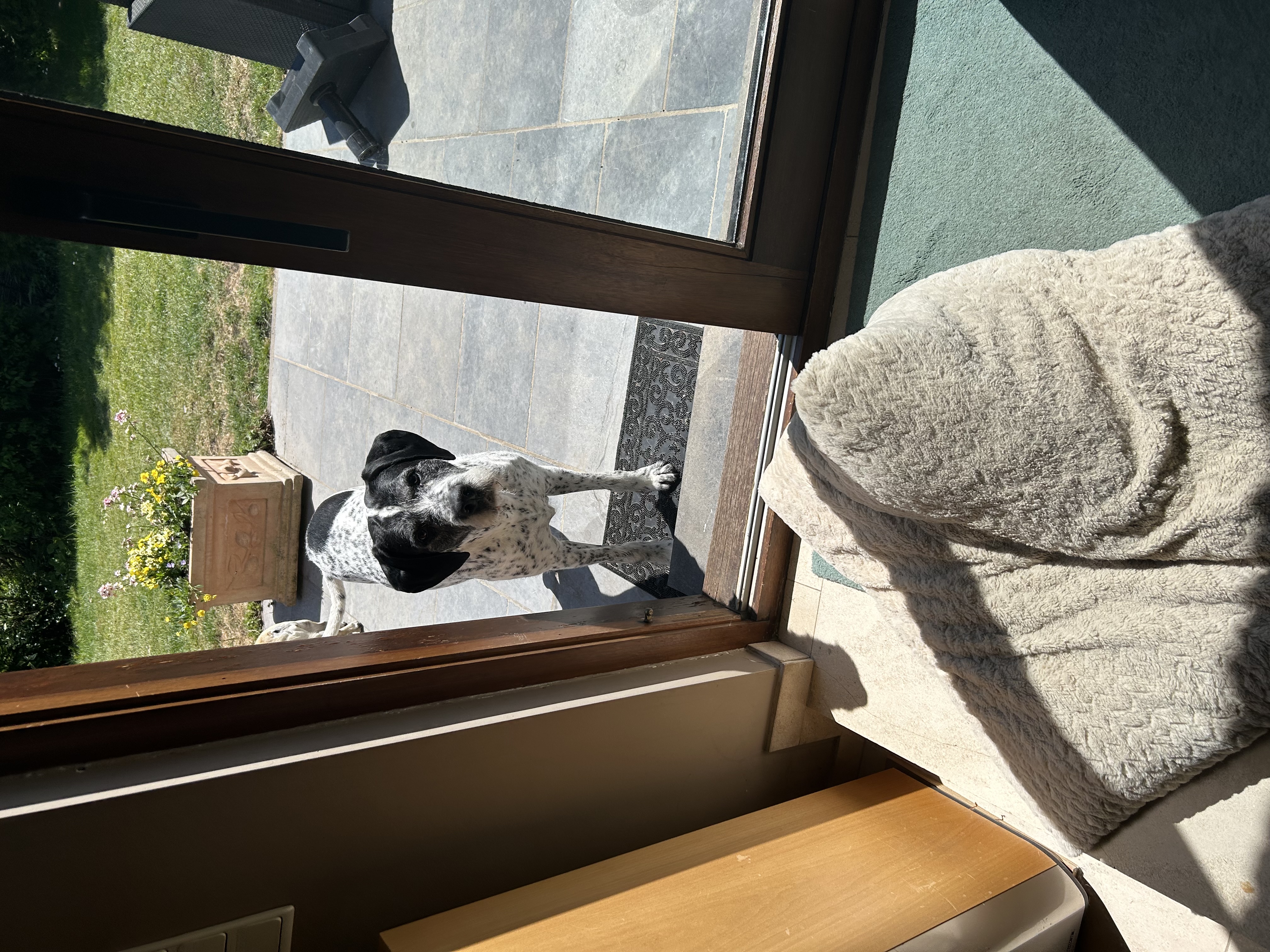 image-9