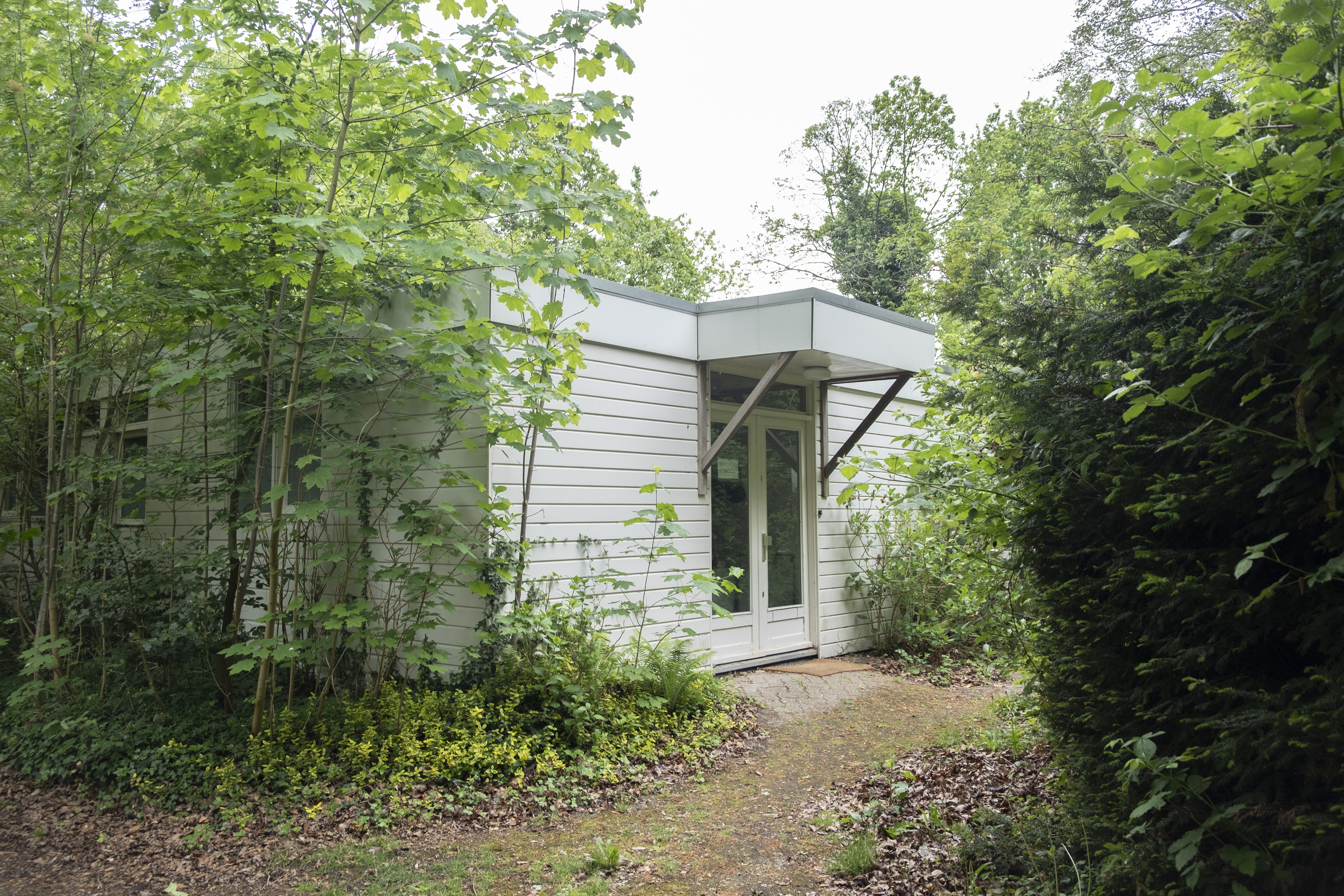 image-9