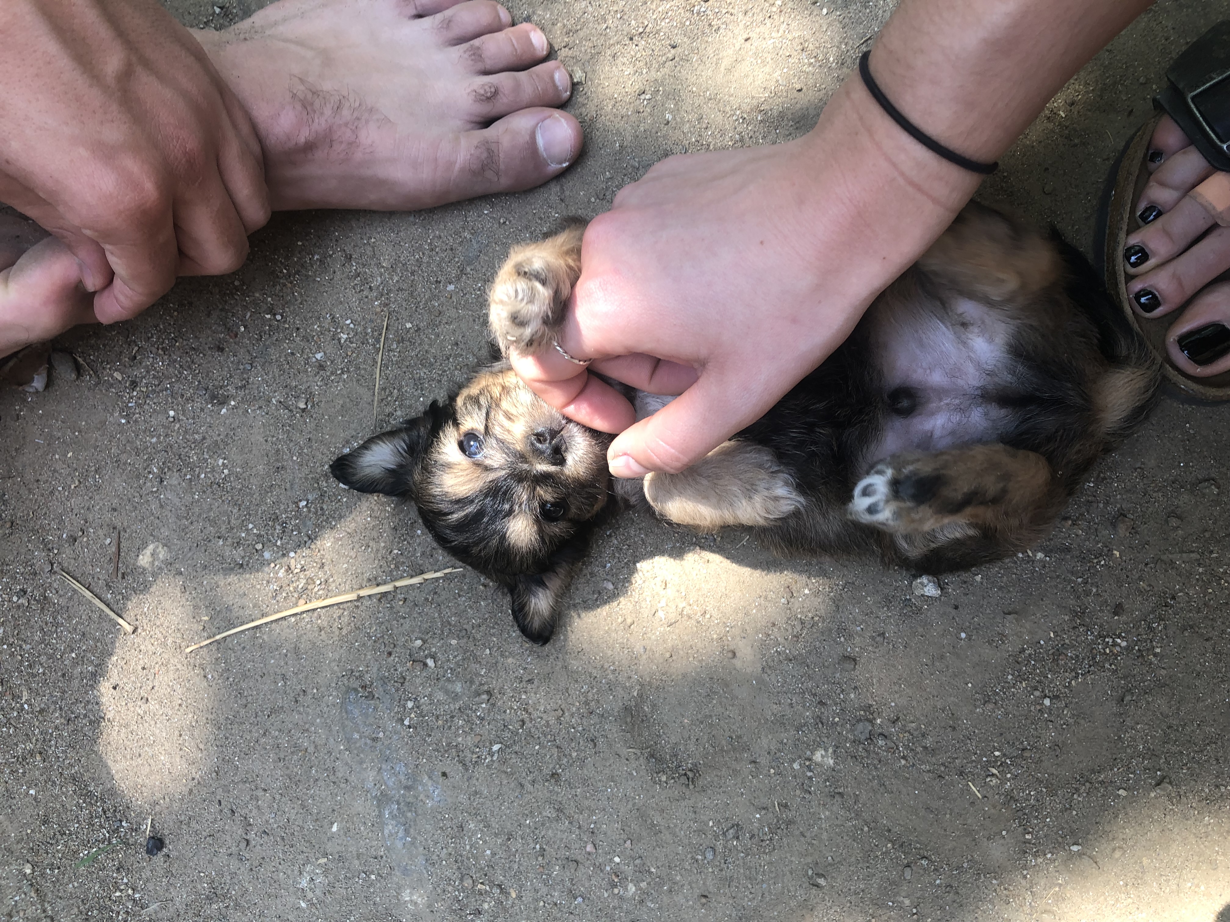 image-8