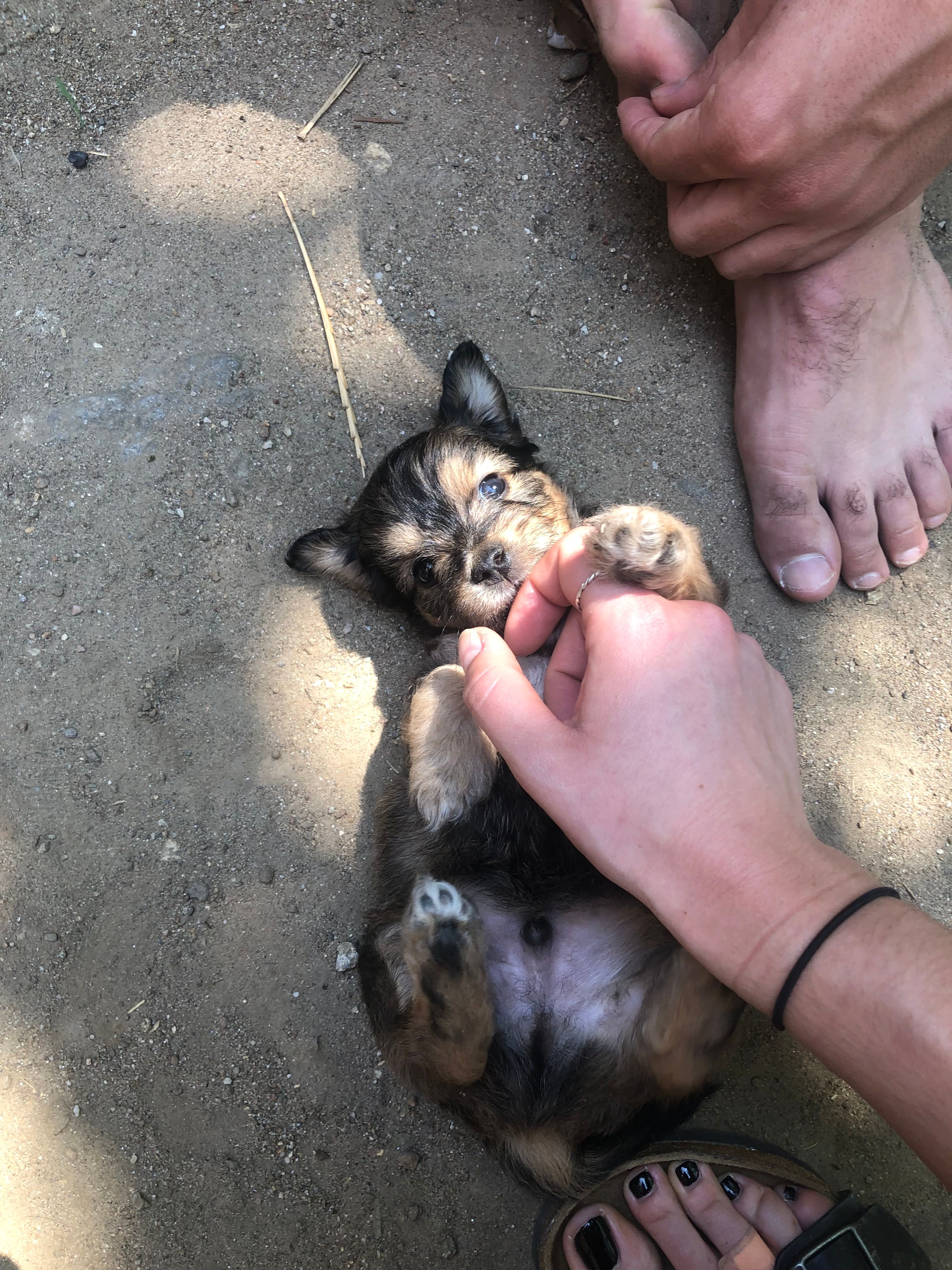 image-8