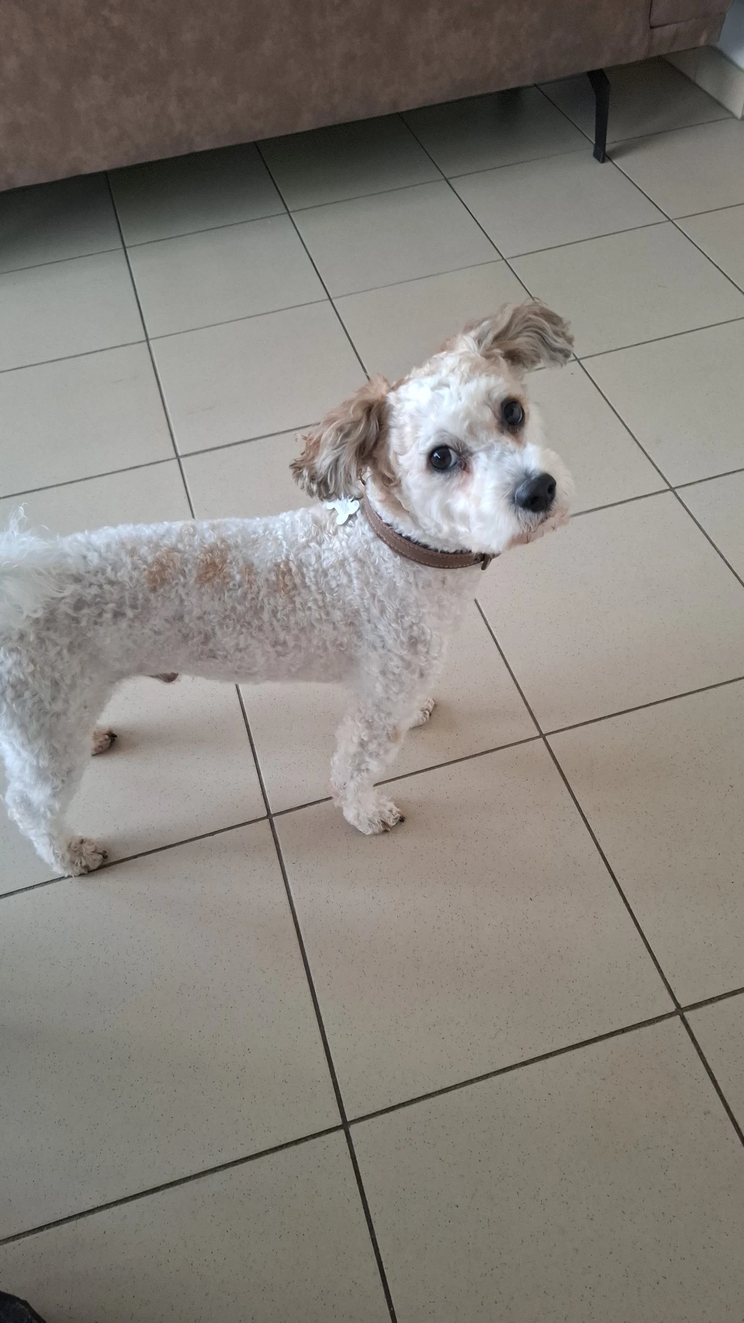image-27