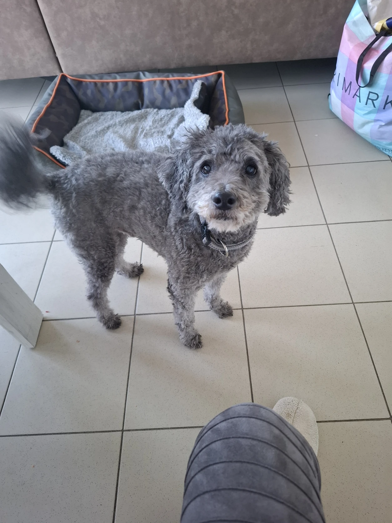 image-28