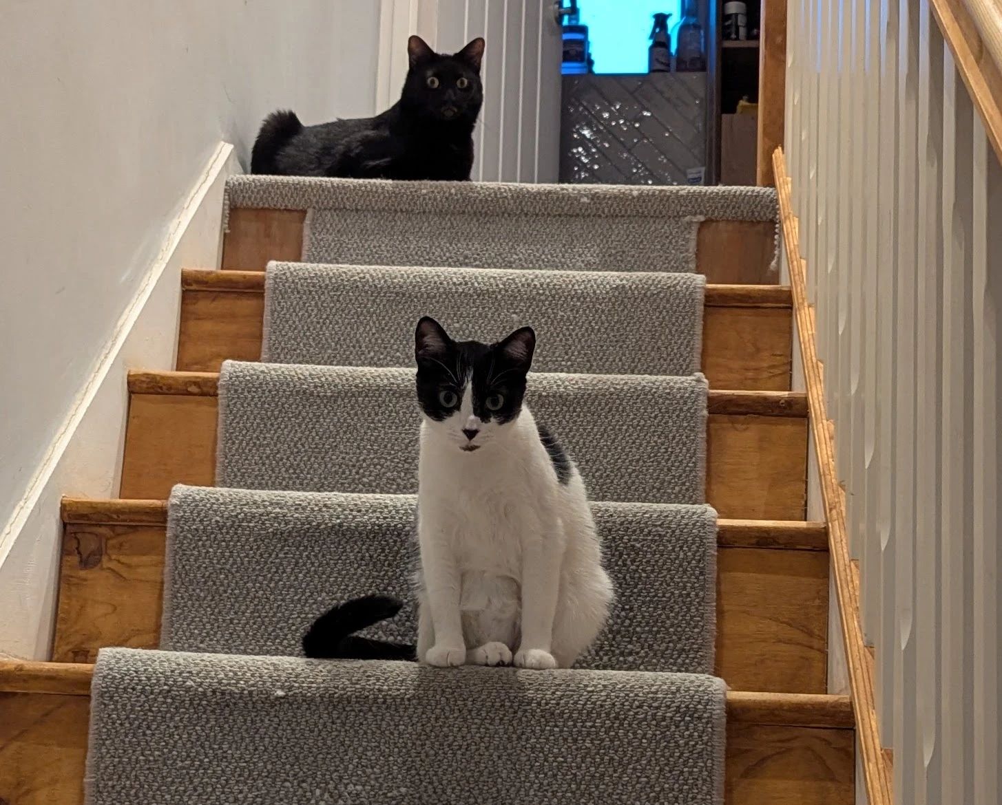 image-16