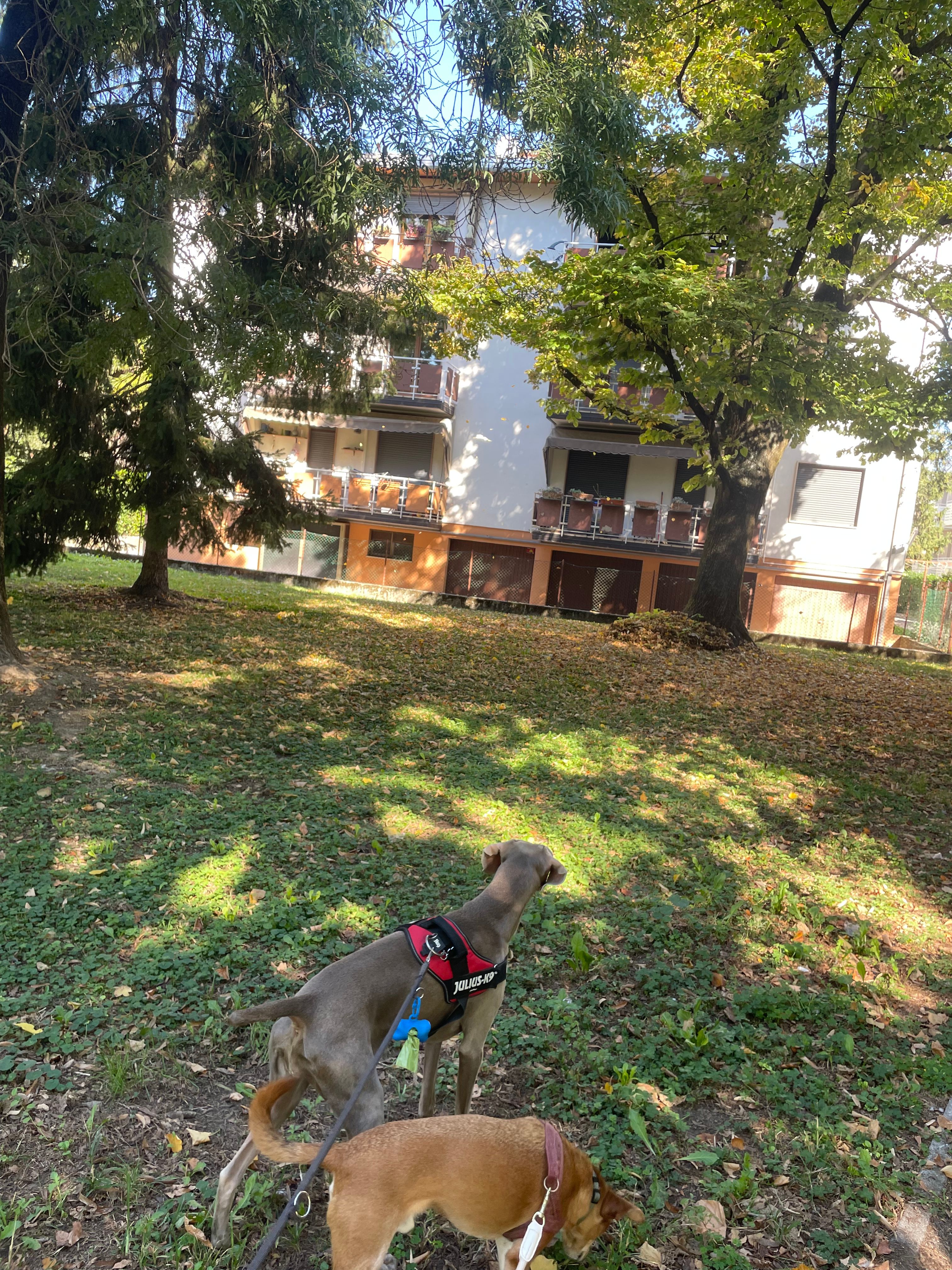image-9