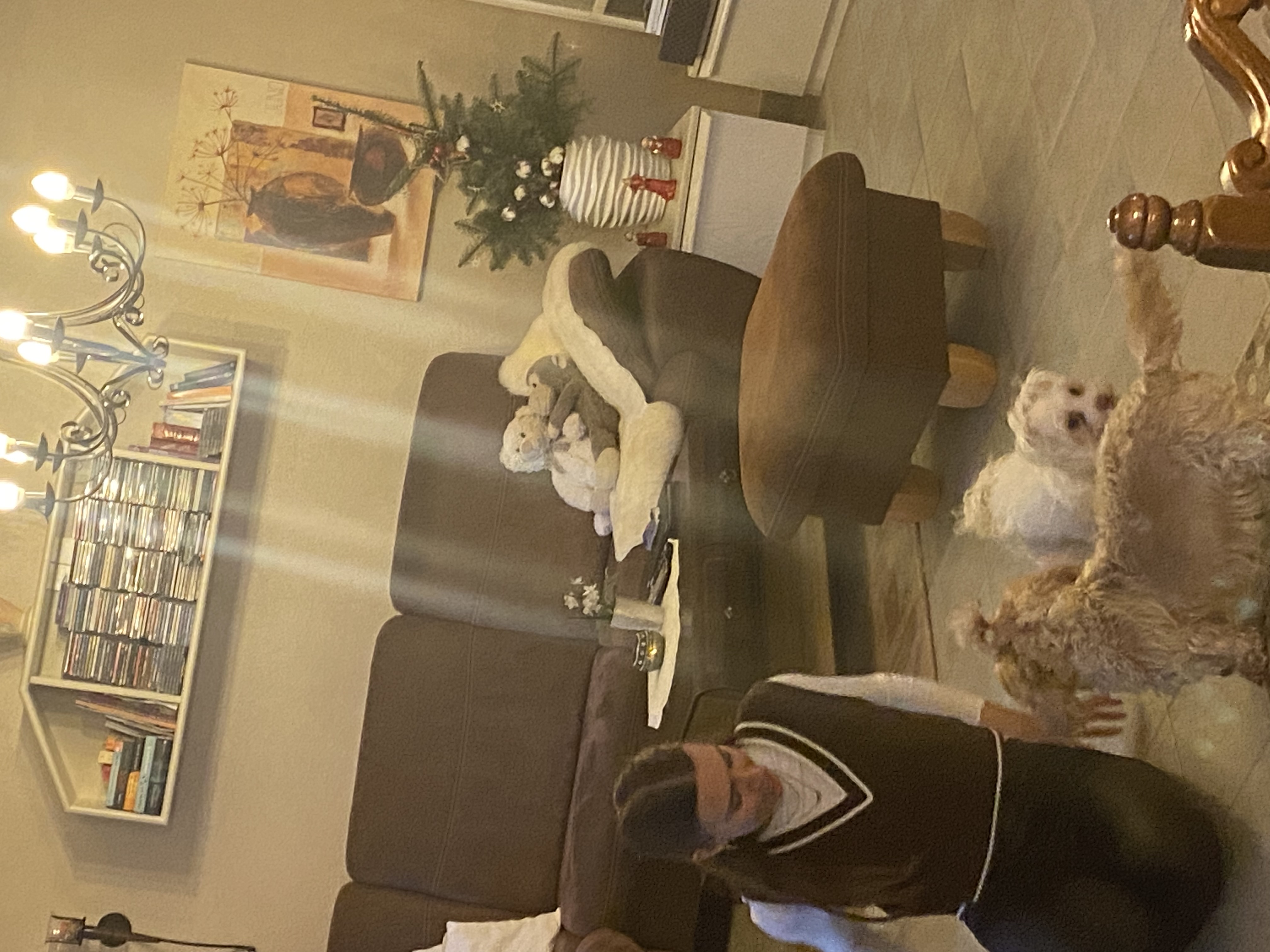 image-3