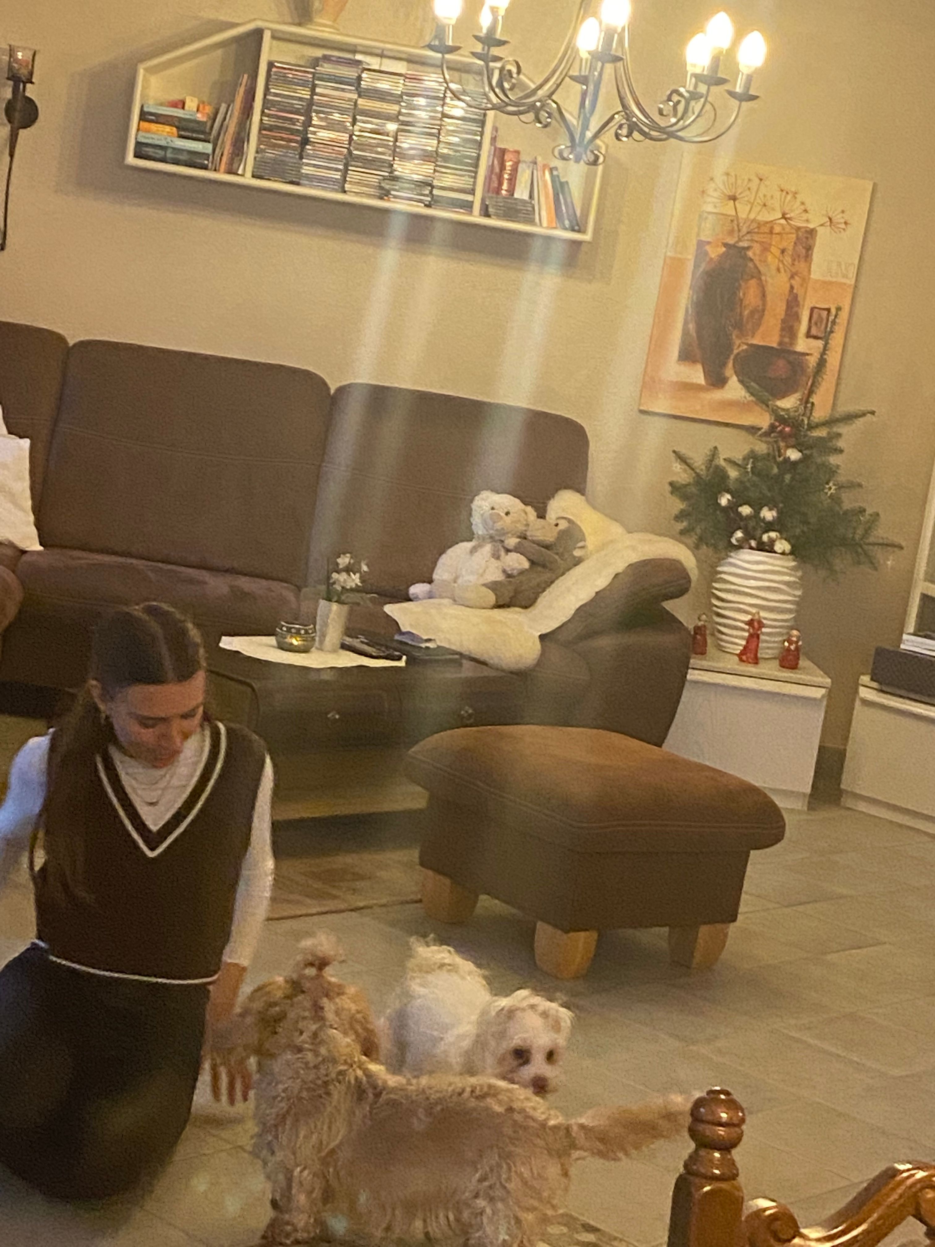 image-3