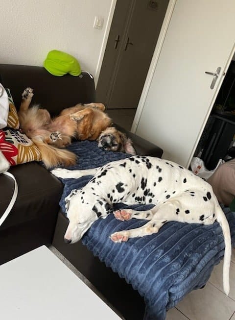 image-2