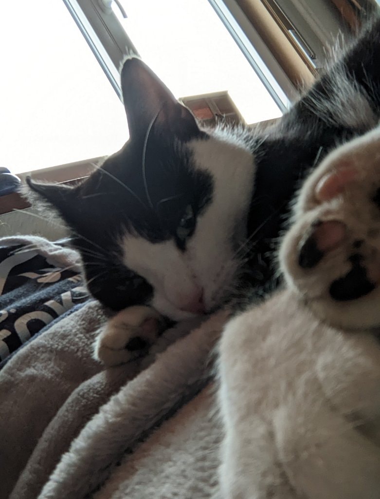 image-2