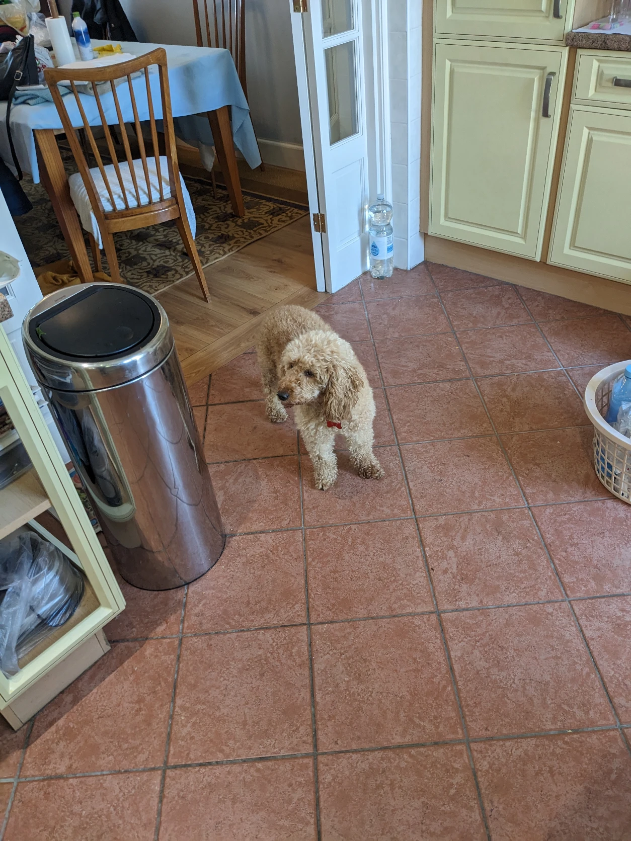 image-28