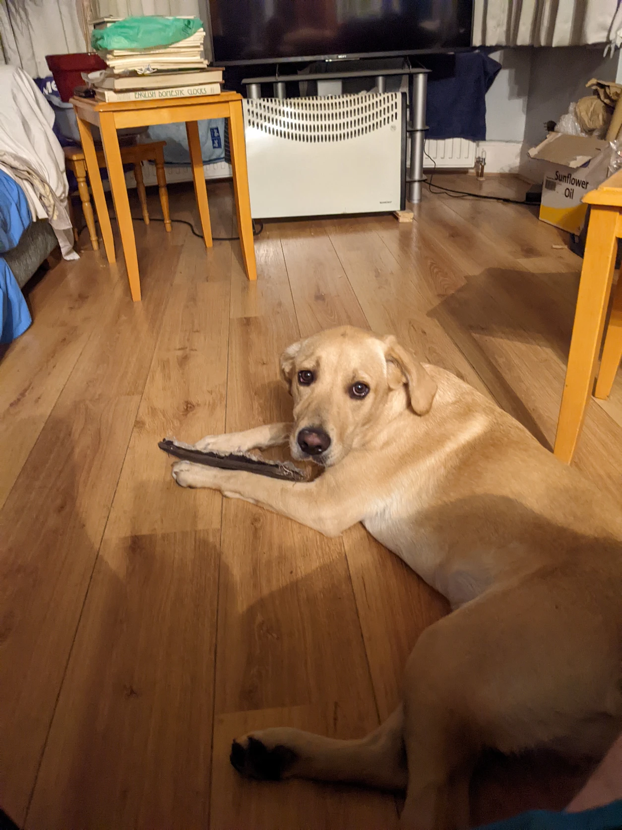 image-12