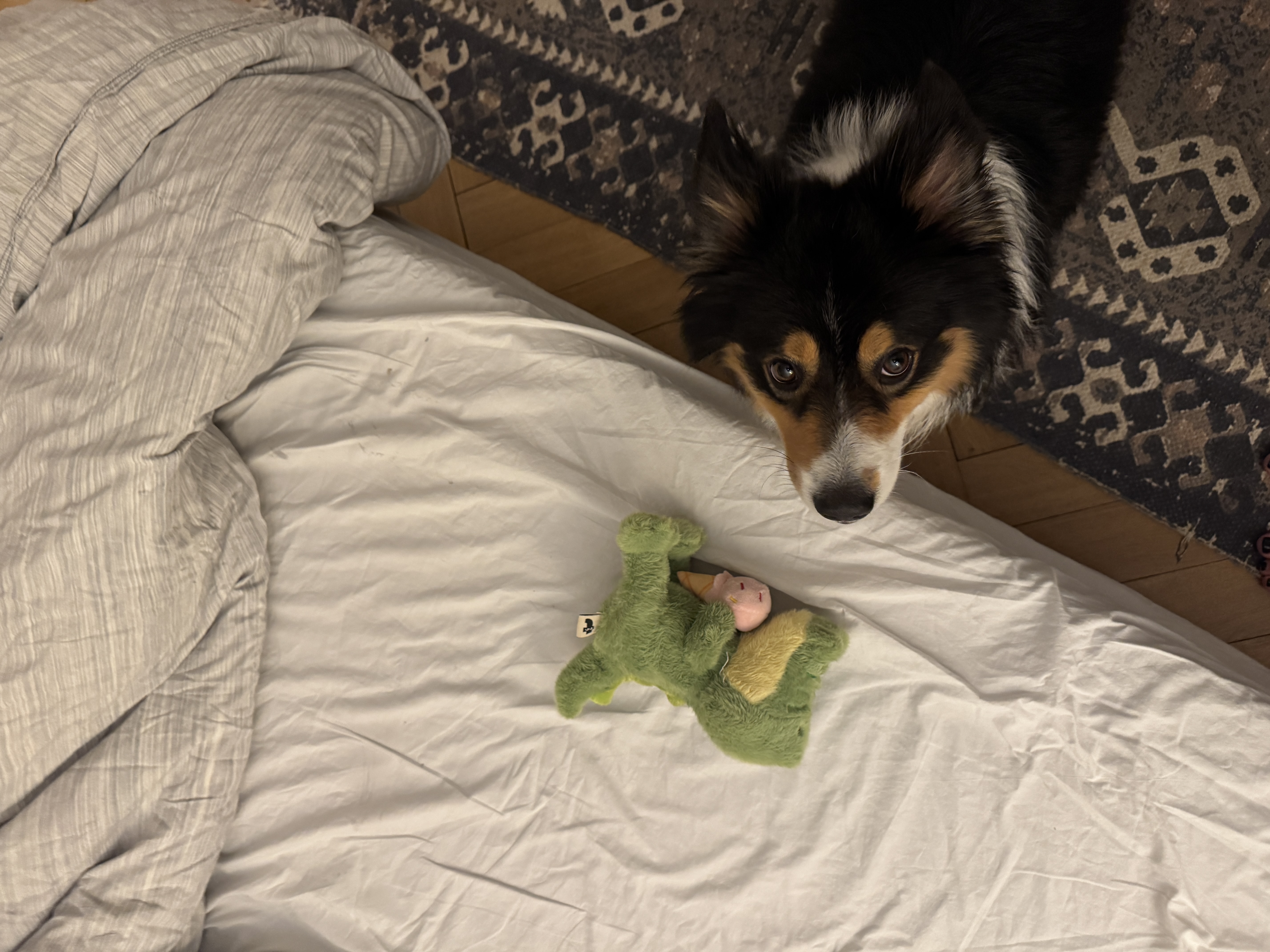 image-7