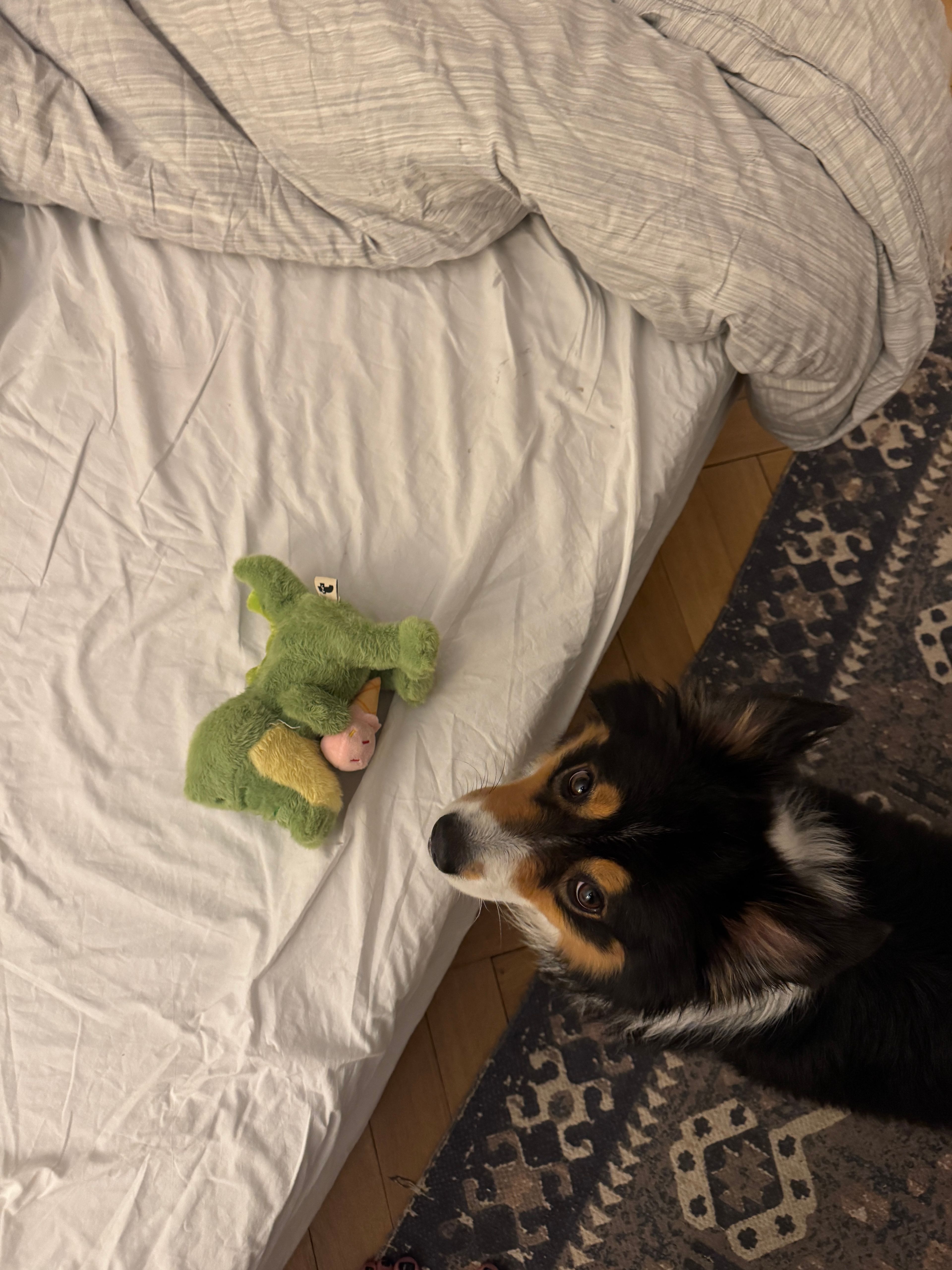 image-7