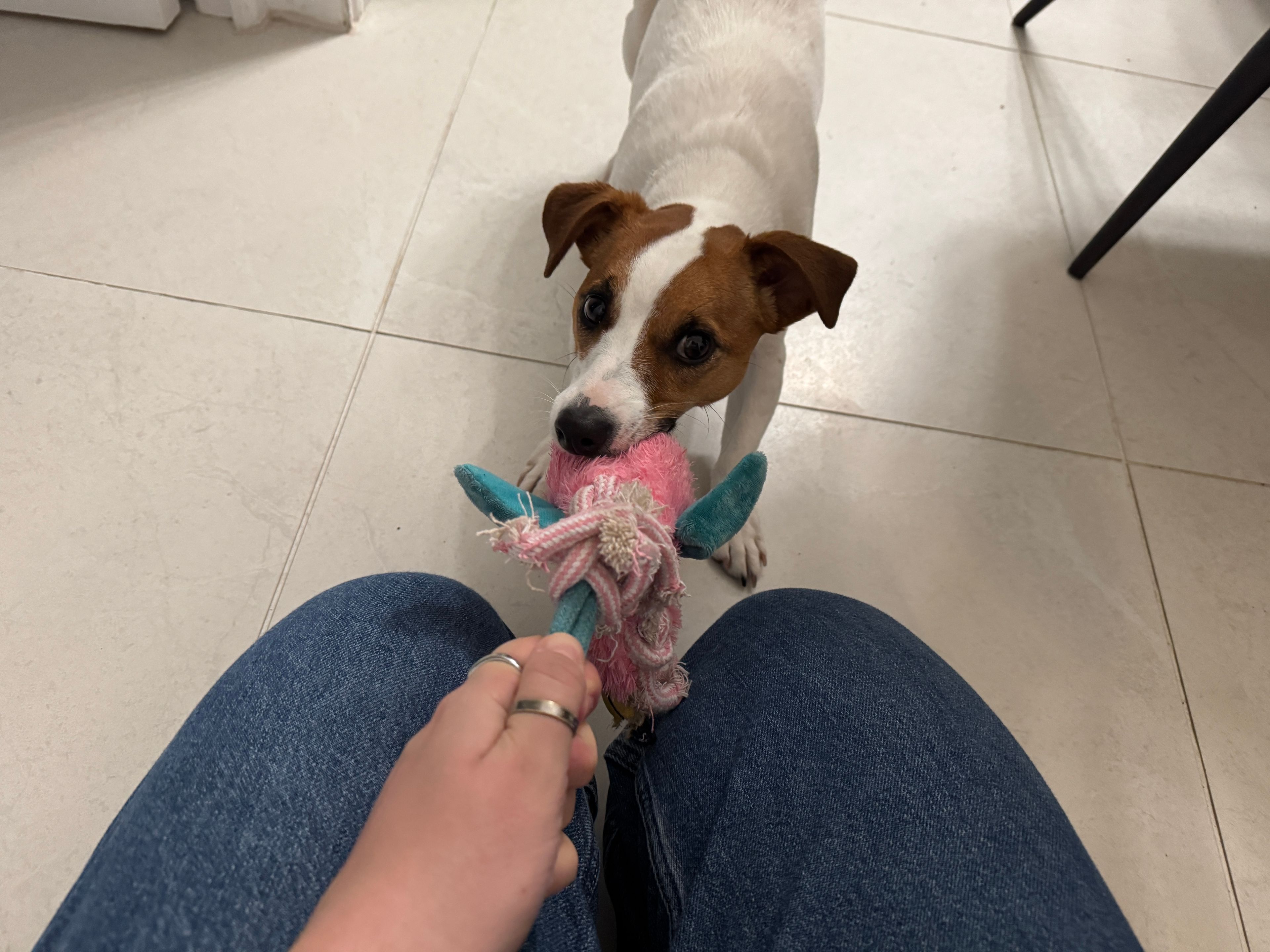 image-5