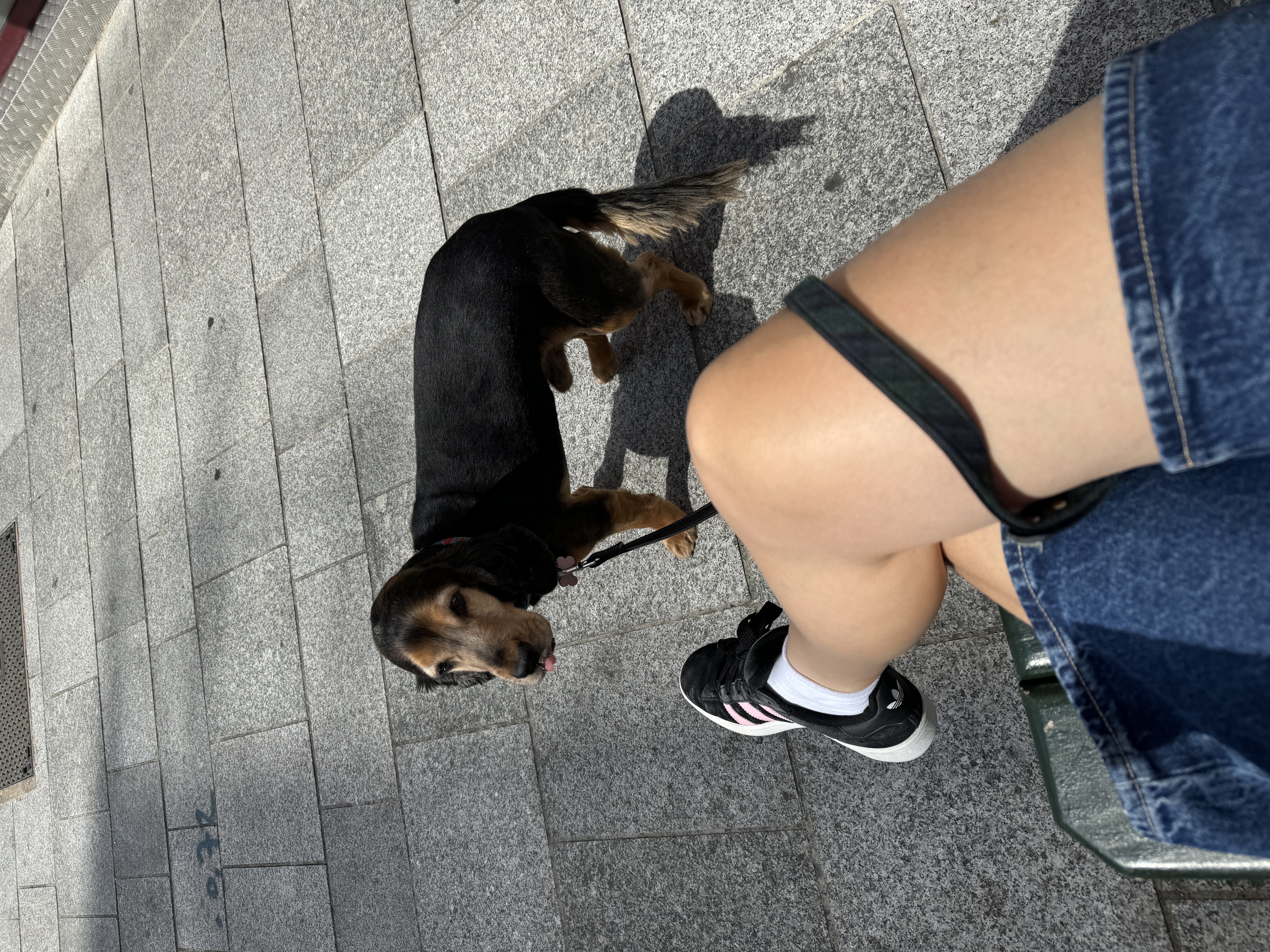 image-9